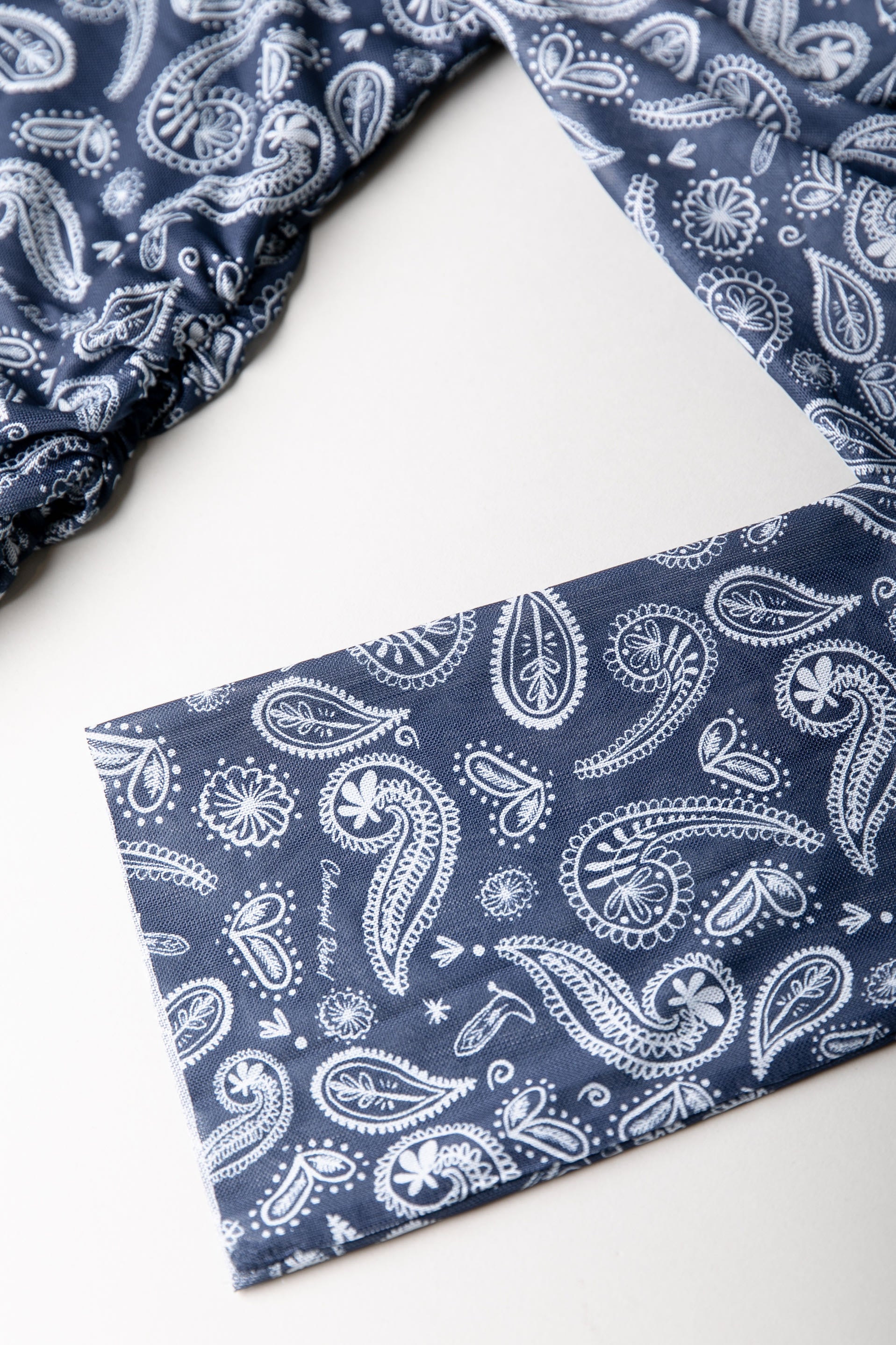 Maude Paisley Mesh Dress | Denim blue