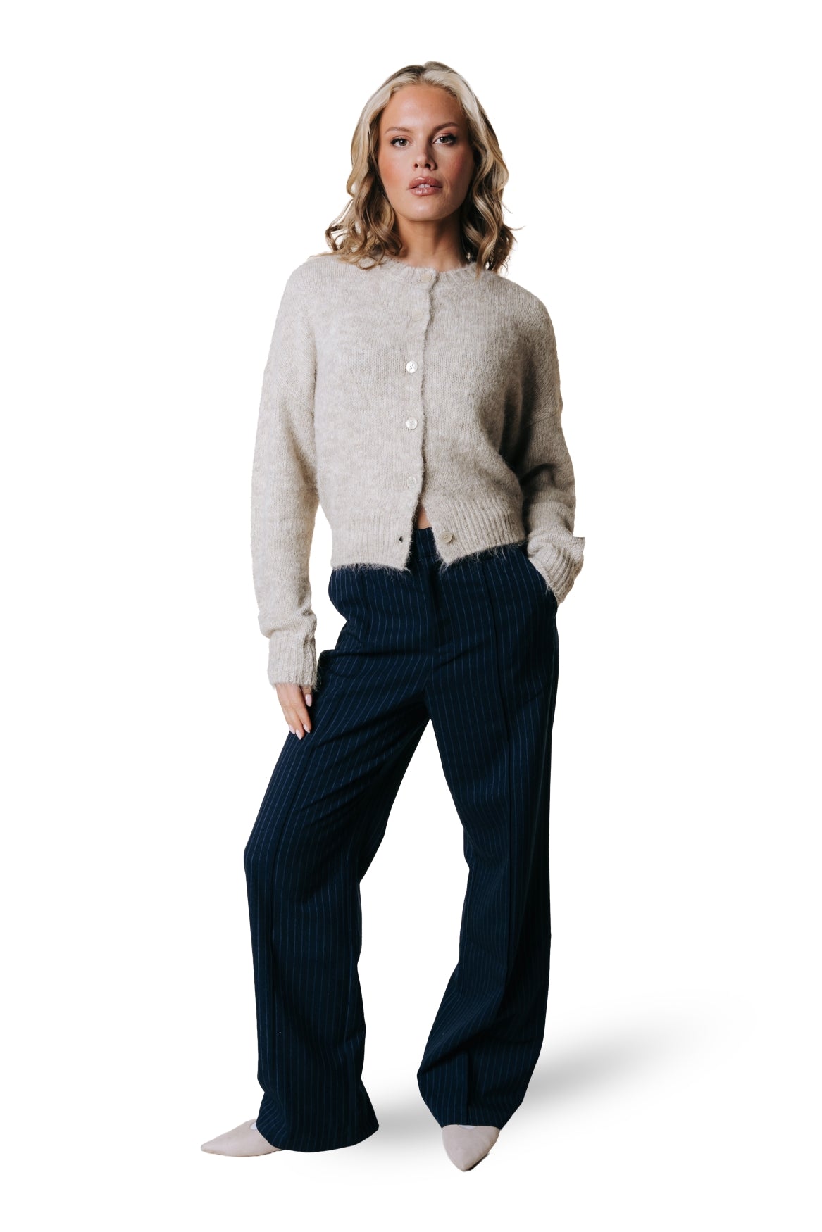 Rus Pinstripe Pants | Dark blue