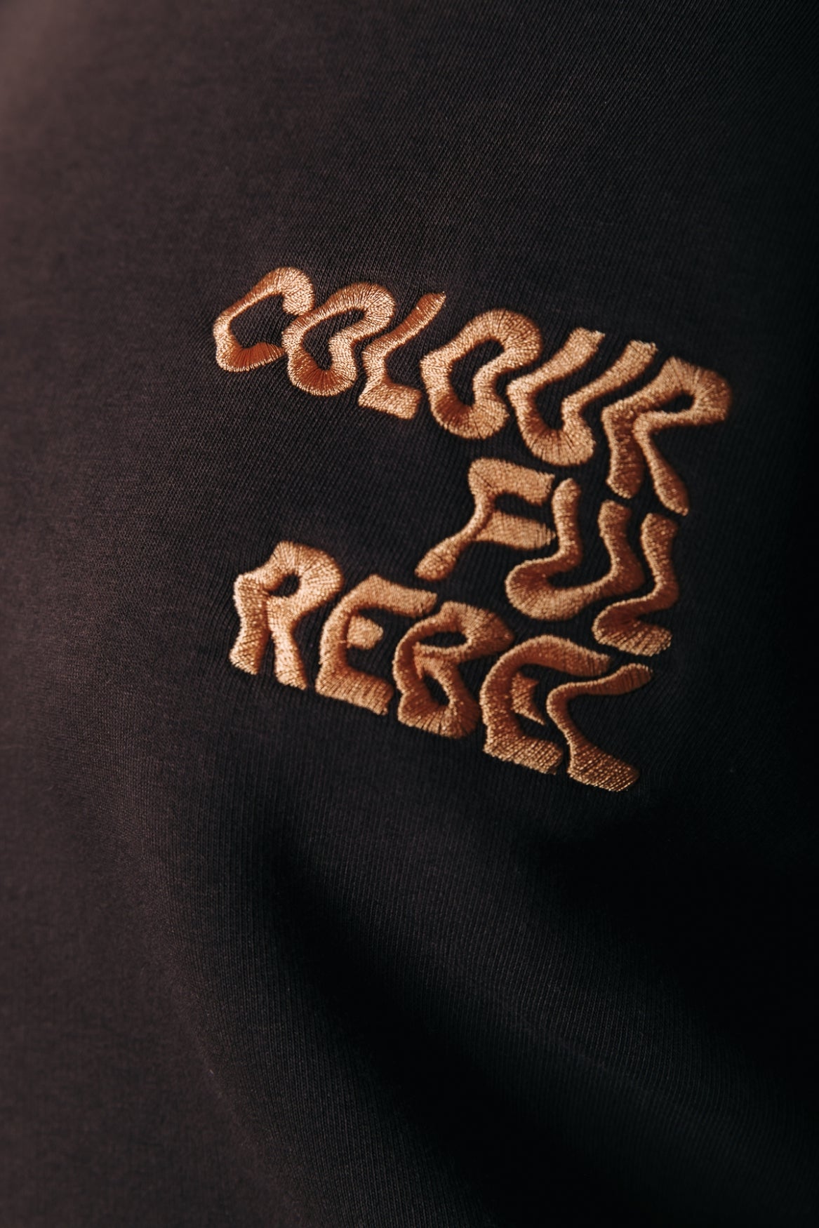 Lurex Logo Sweat | Brown