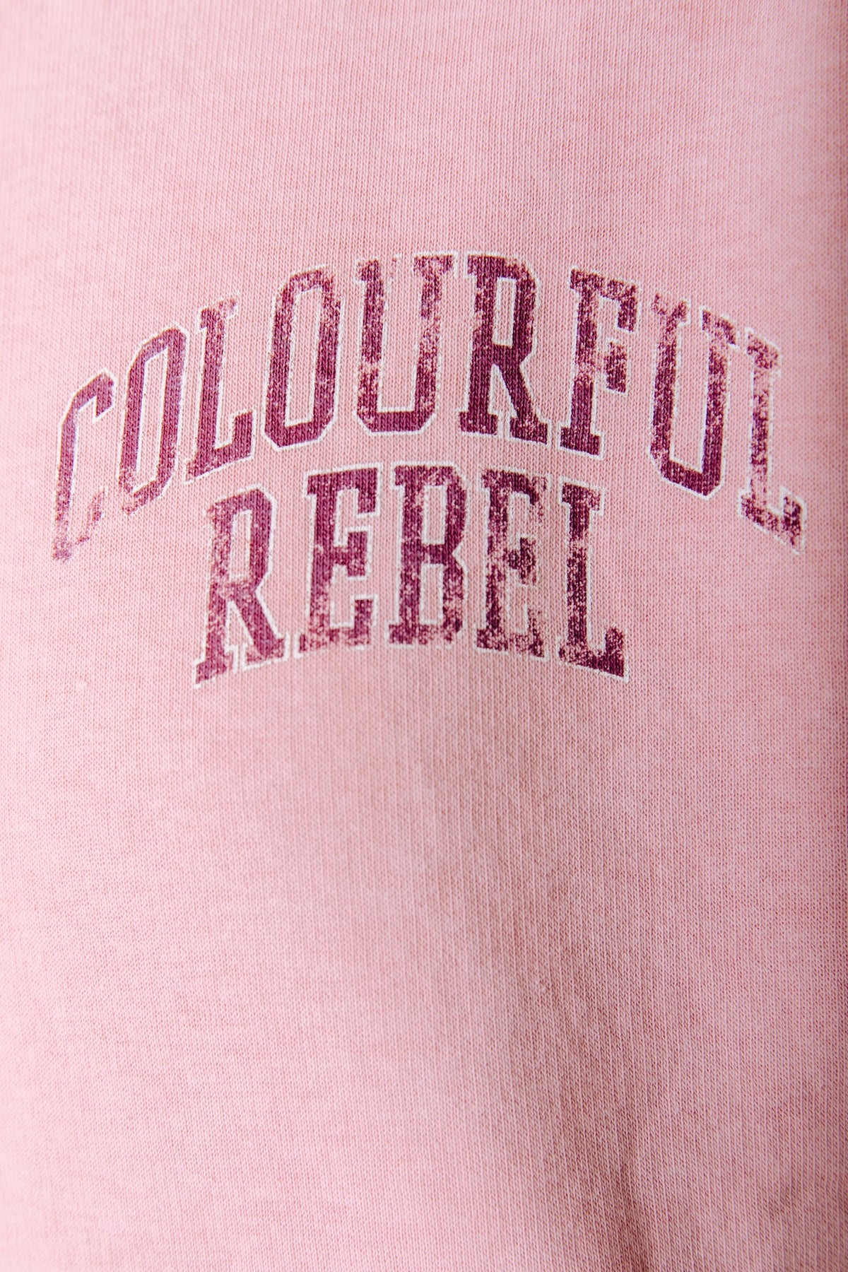Colourful Rebel Logo Sweat | Pink