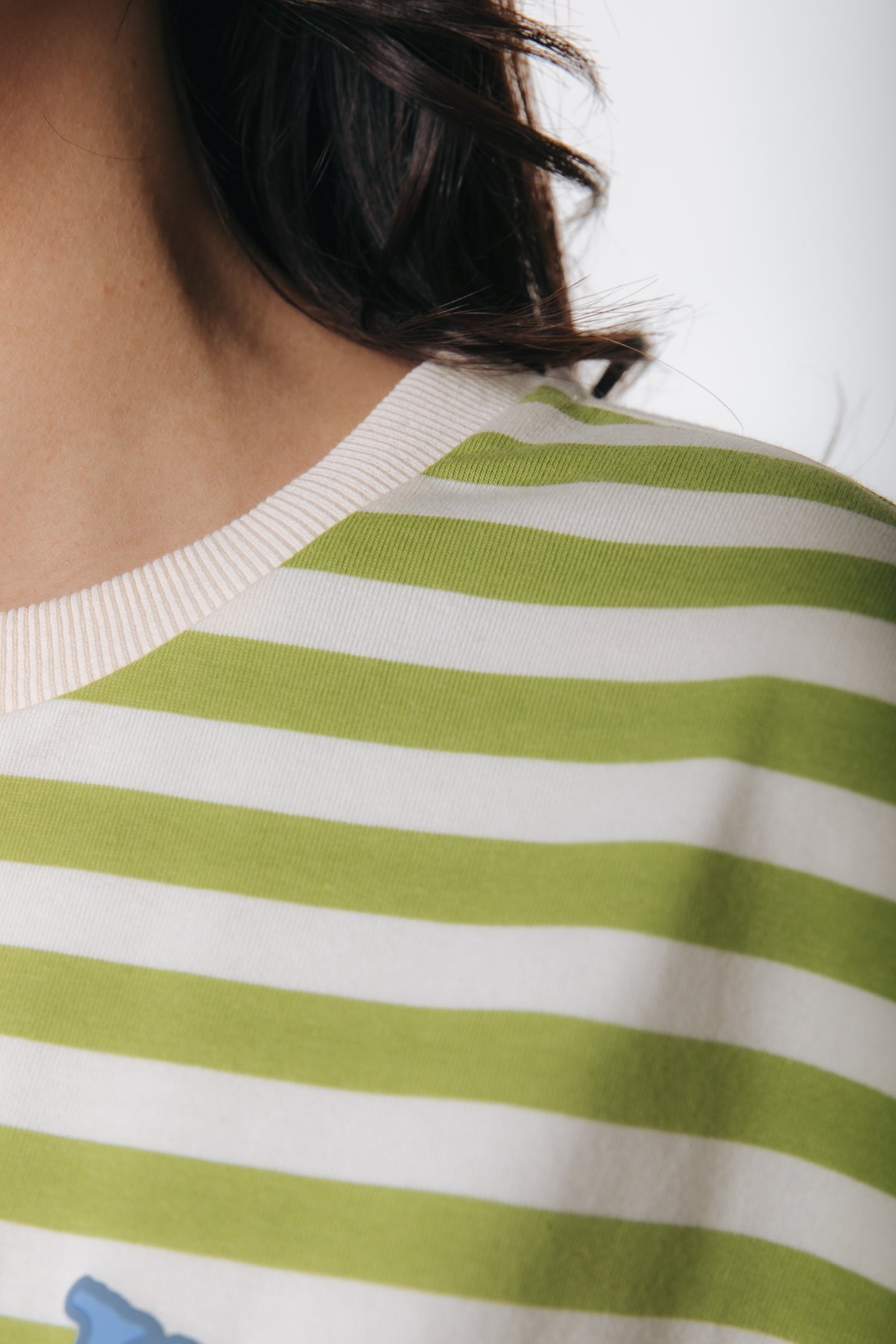 Two Striped Longsleeve | Multicolor