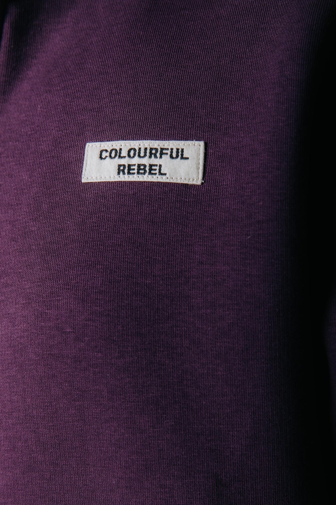 Label Zip Sweat | Dark purple