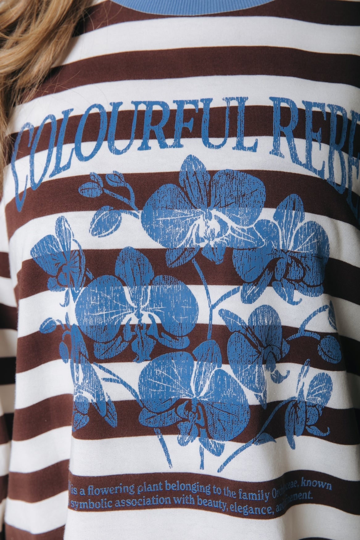 Flower Crack Print Striped Longsleeve | White/Brown