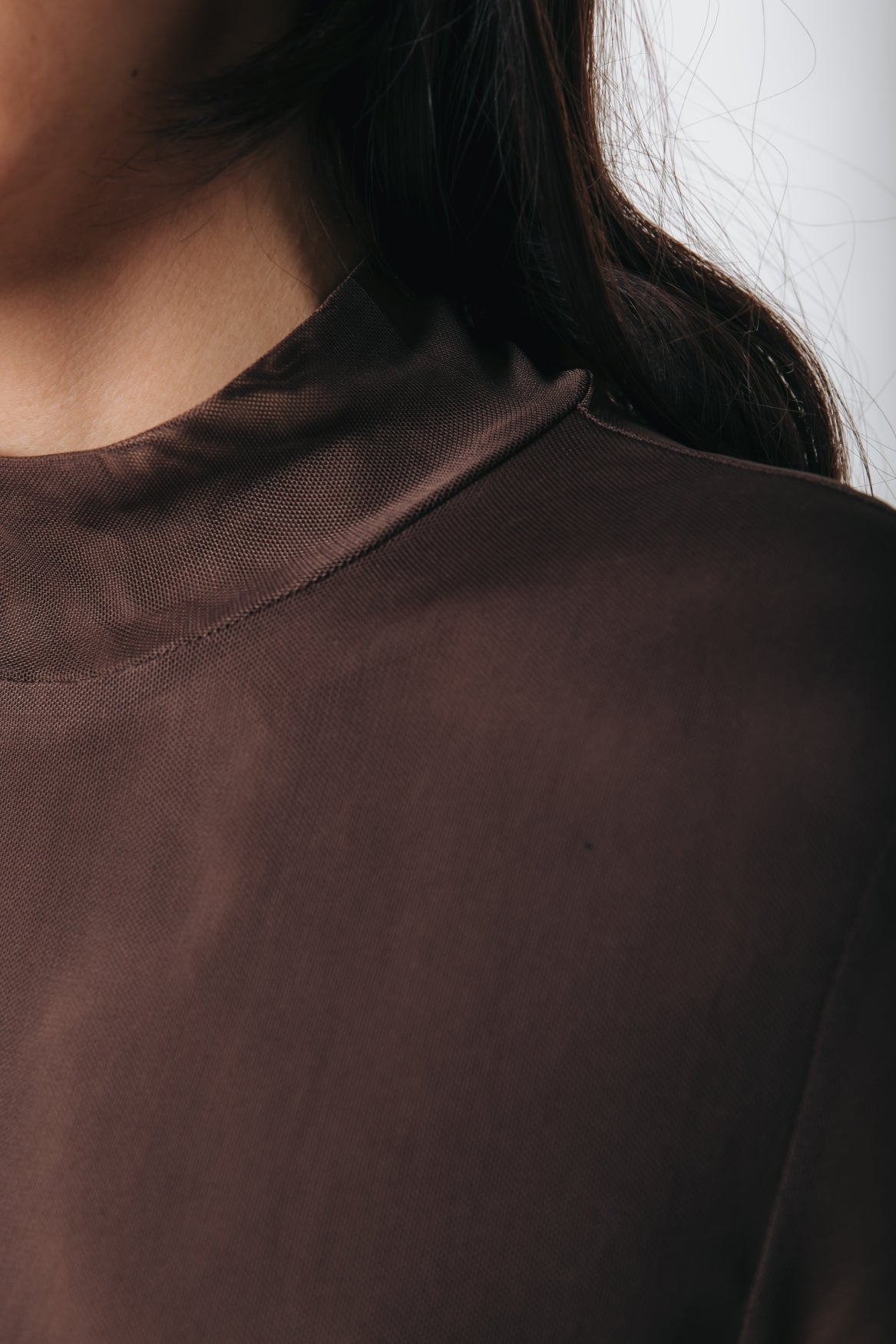 Mesh Turtleneck Top | Brown