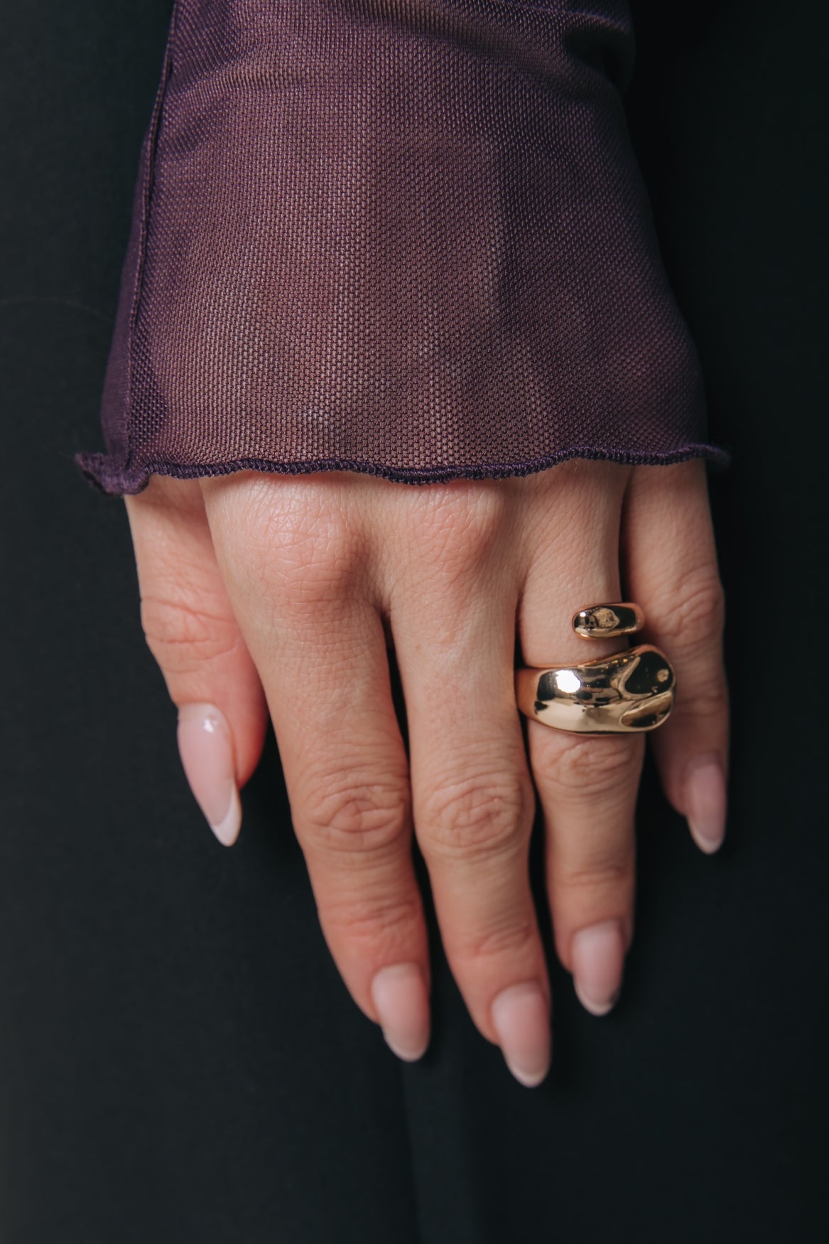 Mesh Turtleneck Top | Dark purple