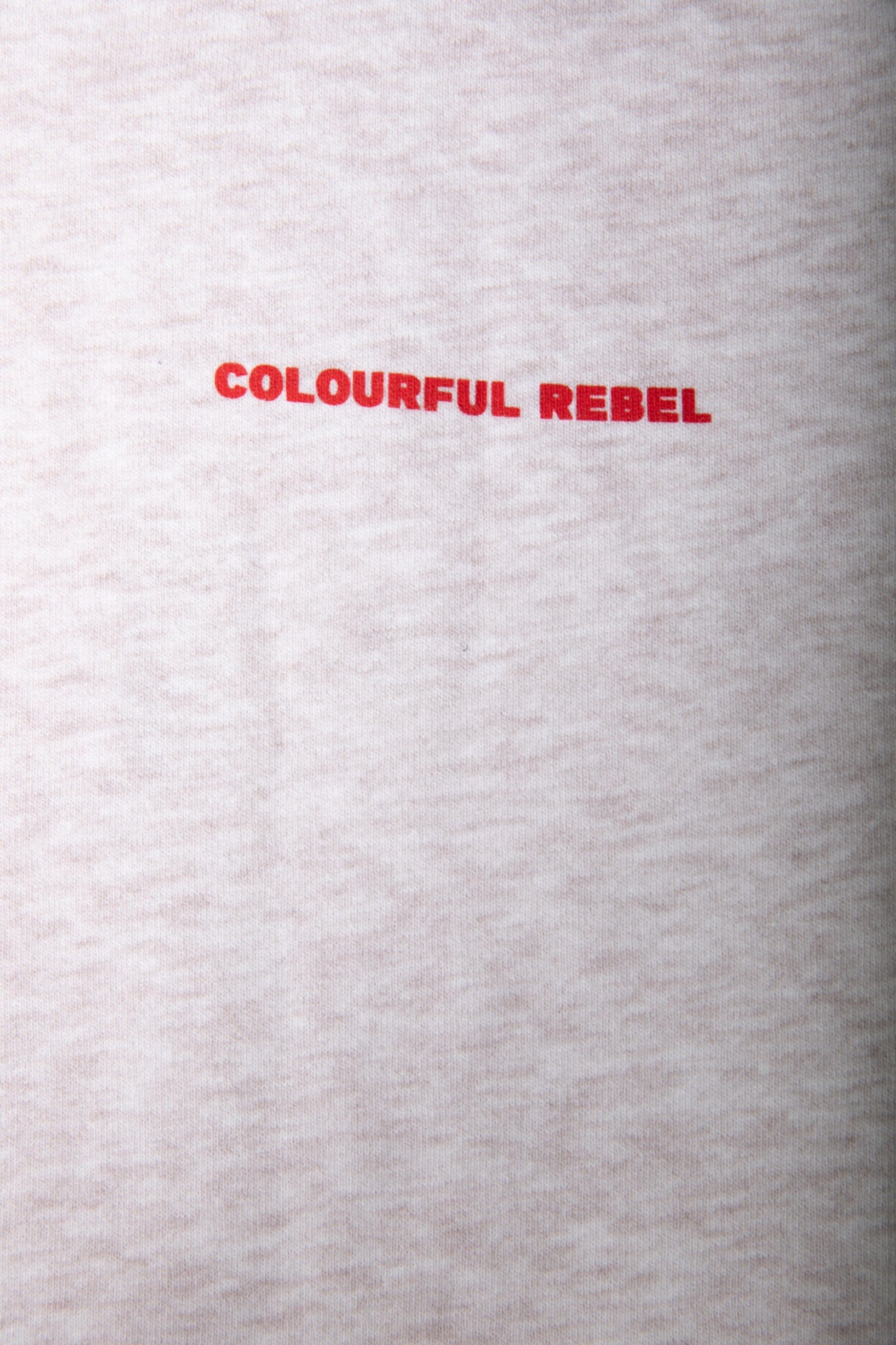 Colourful Rebel Colourful Rebel Logo Hoodie | Medium grey melange