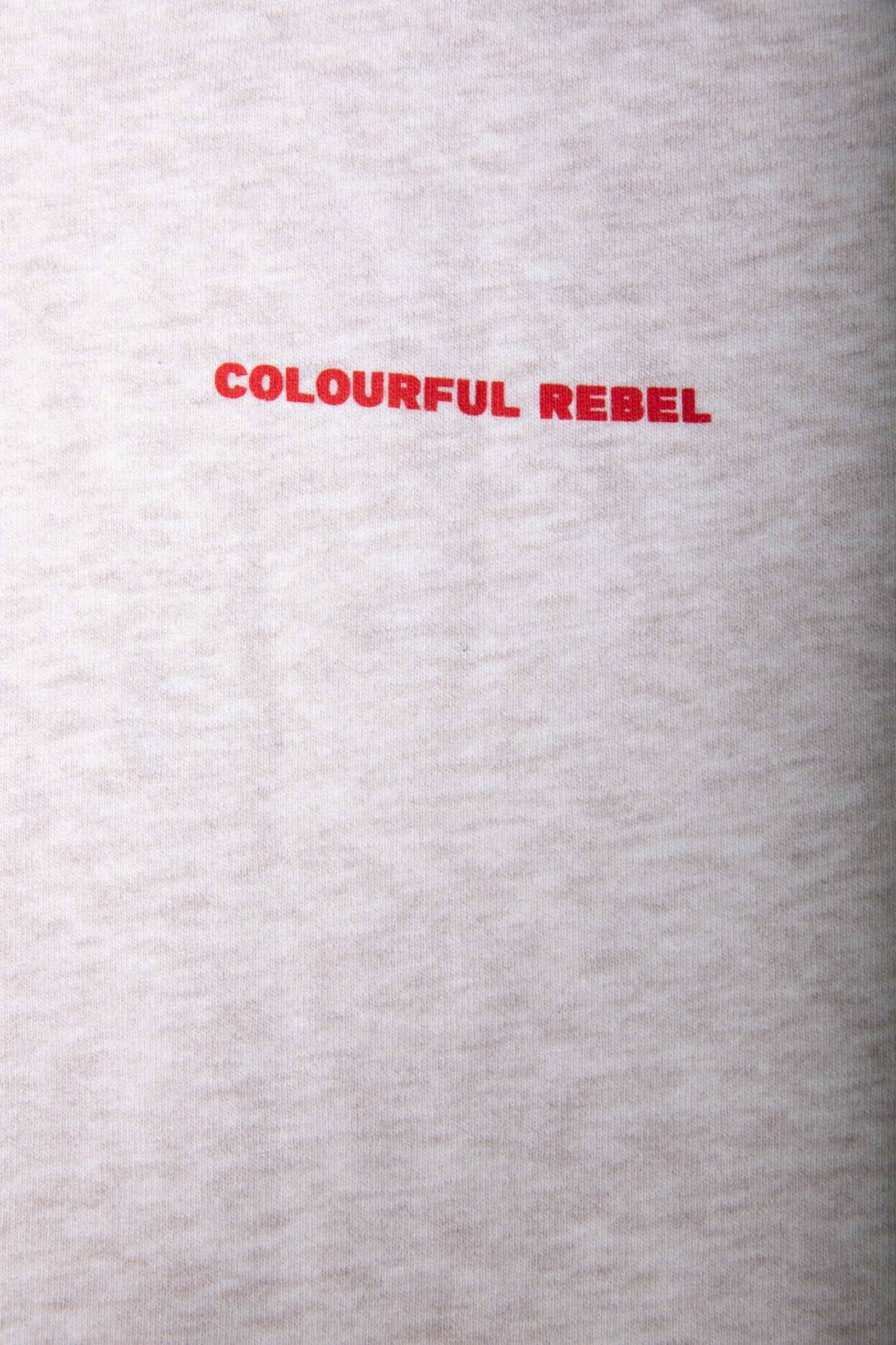 Colourful Rebel Colourful Rebel Logo Hoodie | Medium grey melange 