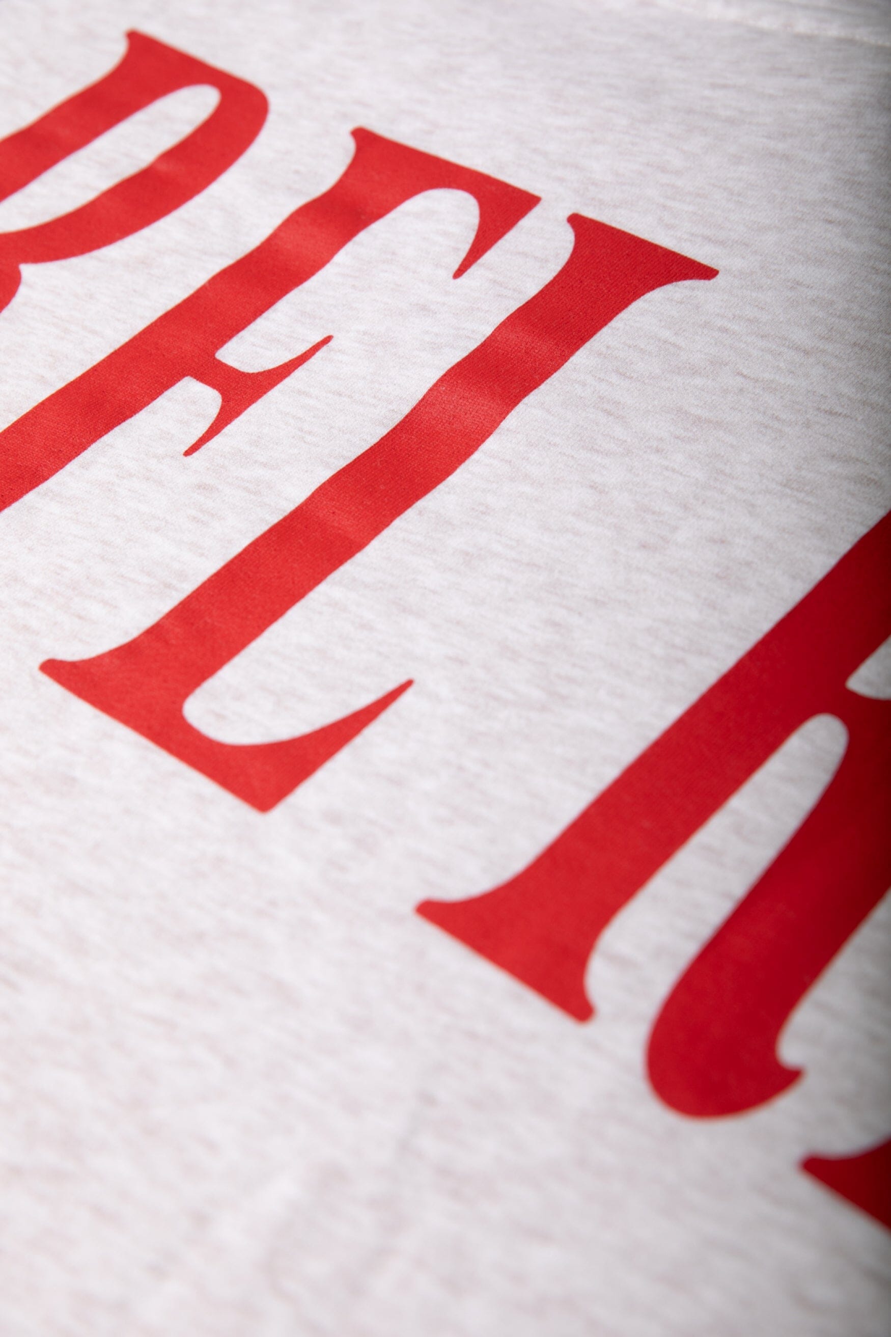 Colourful Rebel Colourful Rebel Logo Hoodie | Medium grey melange