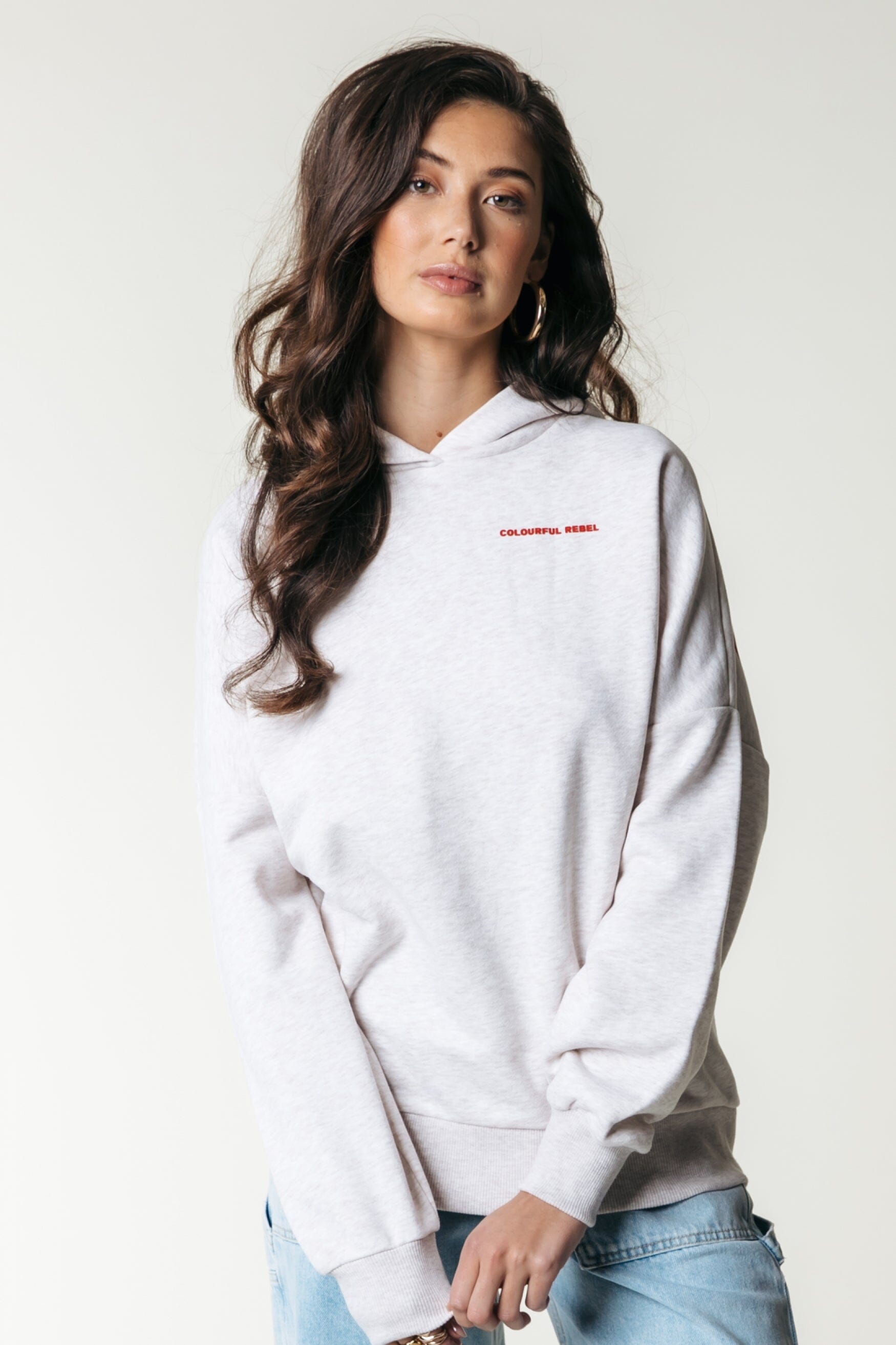 Colourful Rebel Colourful Rebel Logo Hoodie | Medium grey melange