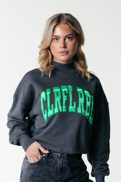 Colourful Rebel Colourful Rebel Logo Patch Elastic Sweat | Anthracite 8720603297615