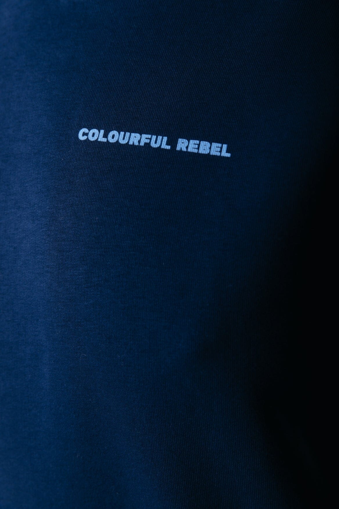 Colourful Rebel CR Back Logo Hoodie | Navy 