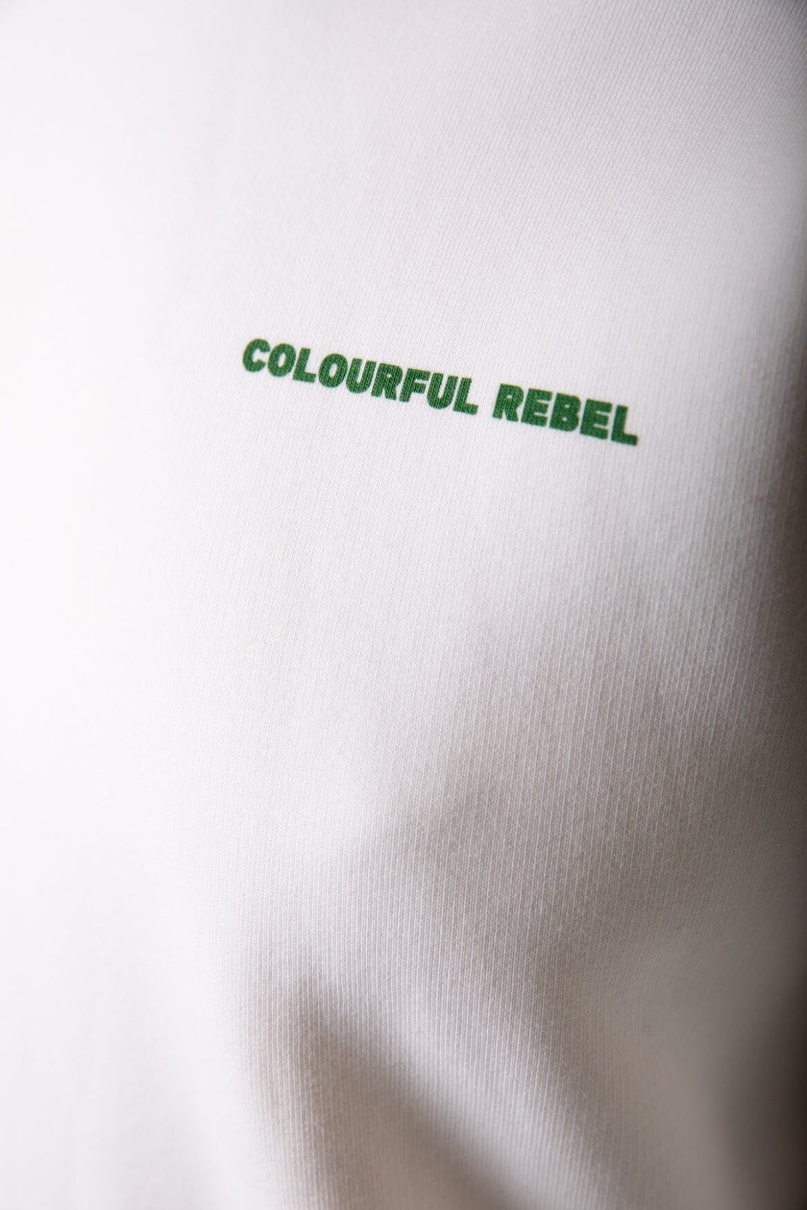 Colourful Rebel CR Bold Logo Hoodie | Off white 