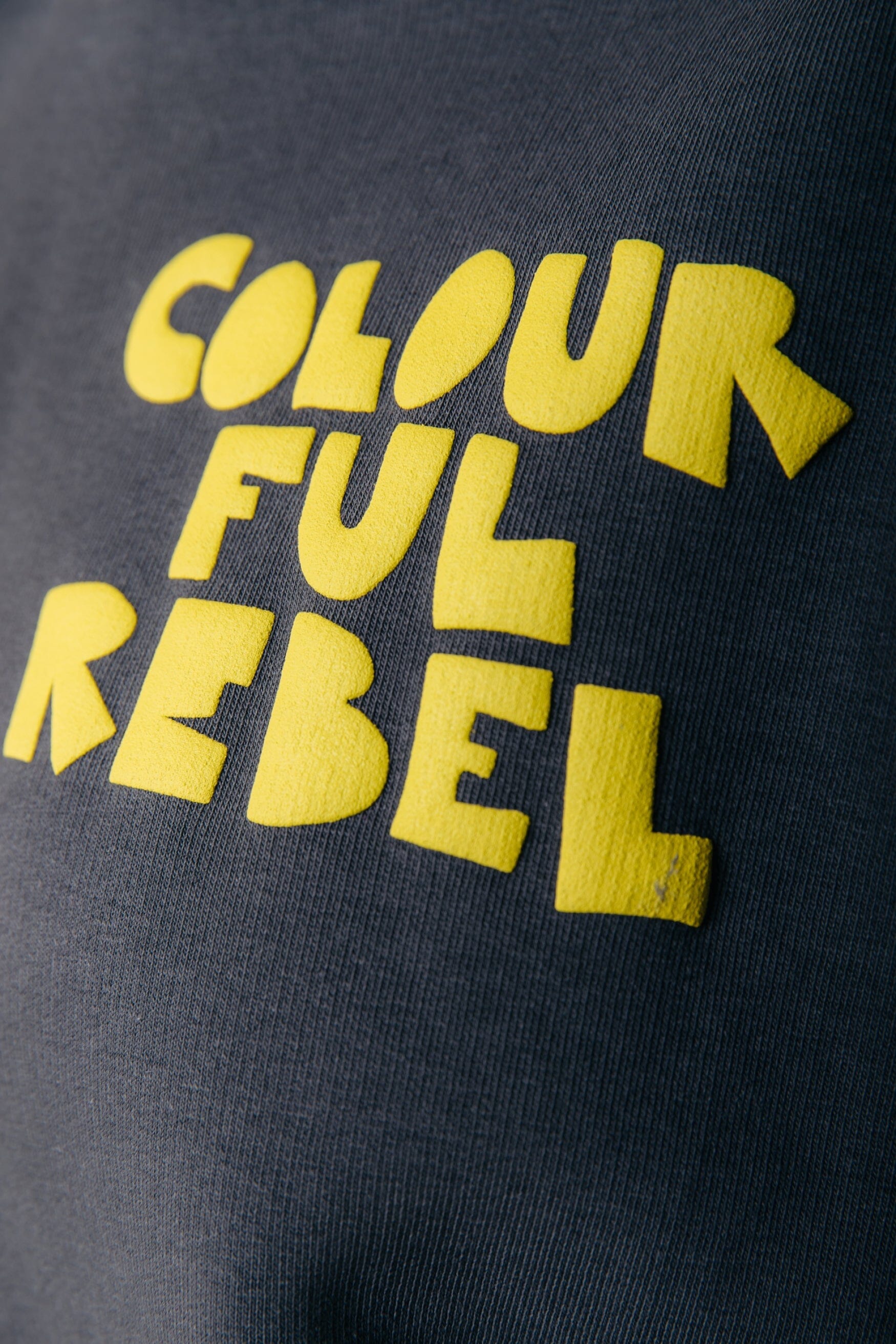Colourful Rebel Logo Hoodie | Anthracite