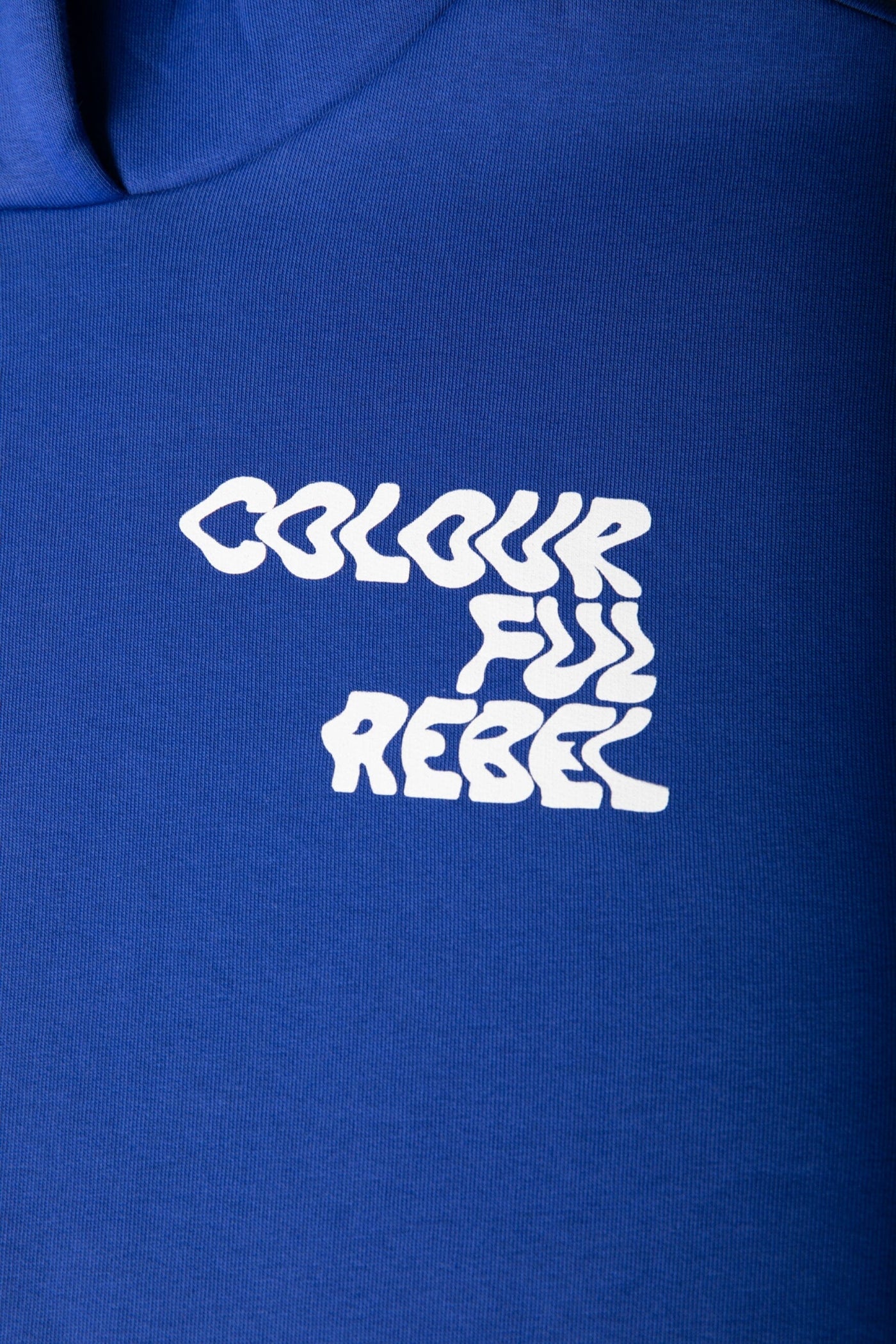 Colourful Rebel Wave Logo Hoodie | Blue 