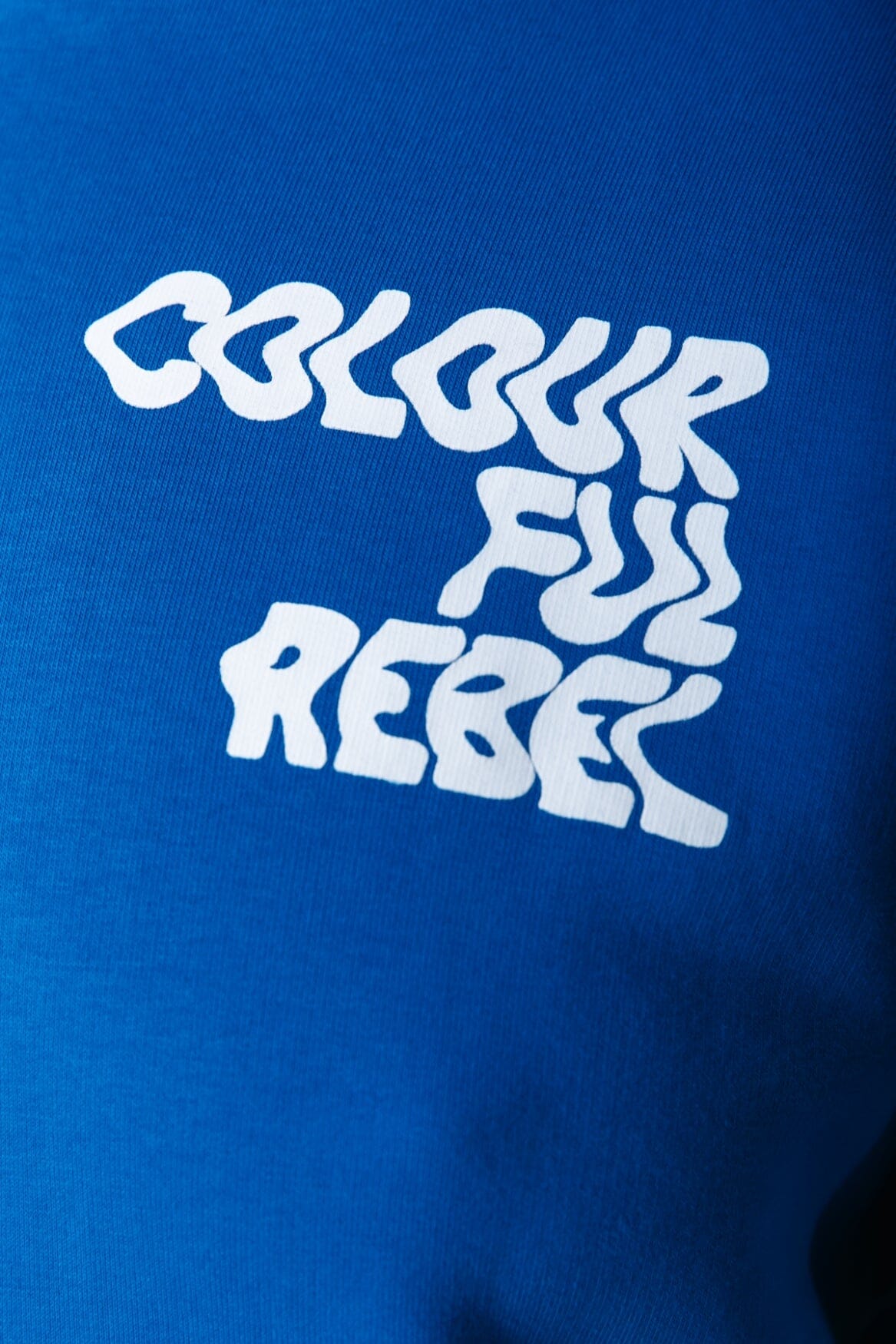 Colourful Rebel Wave Logo Hoodie | Medium blue 
