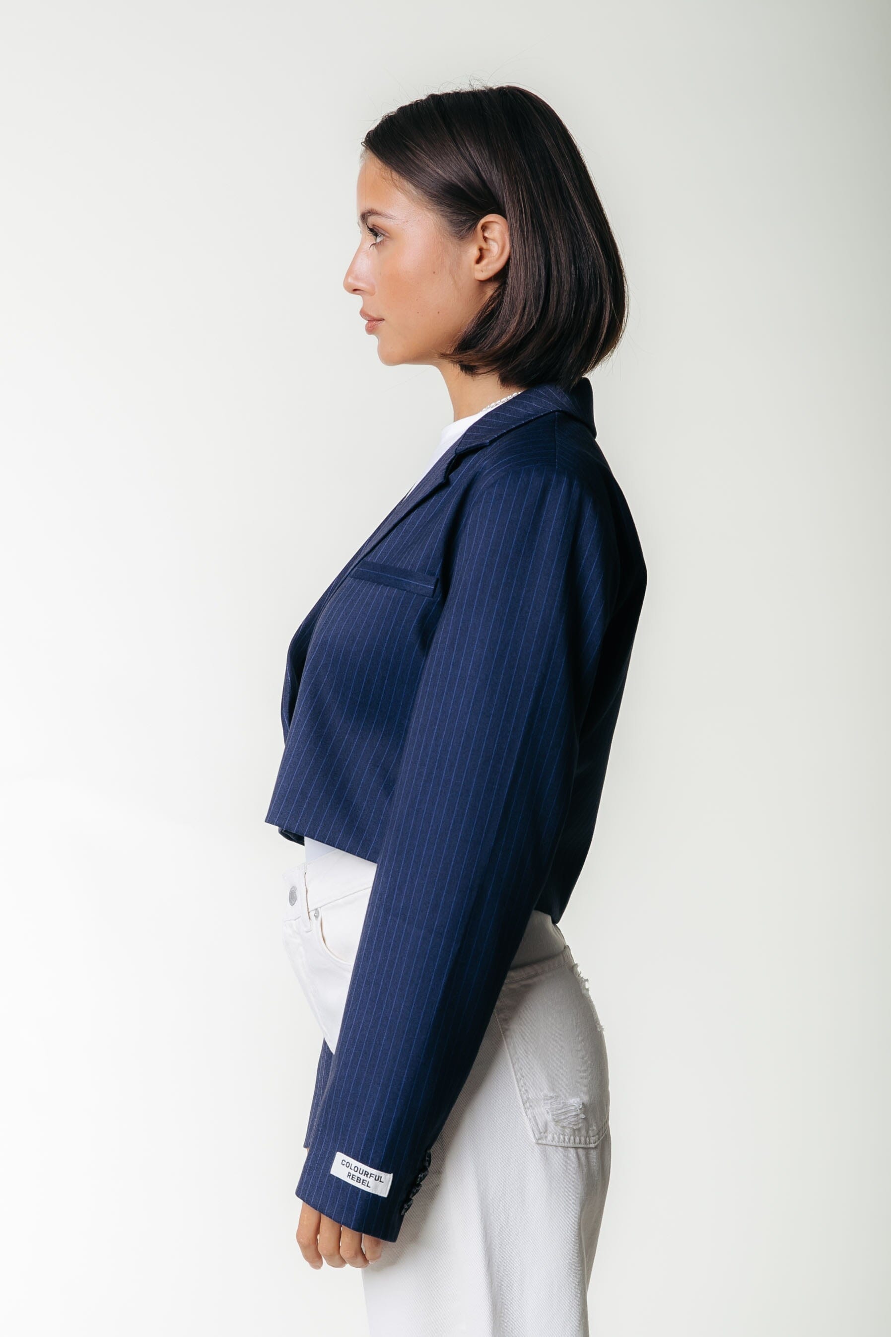 Colourful Rebel Winoah Stripe Cropped Blazer | Dark blue