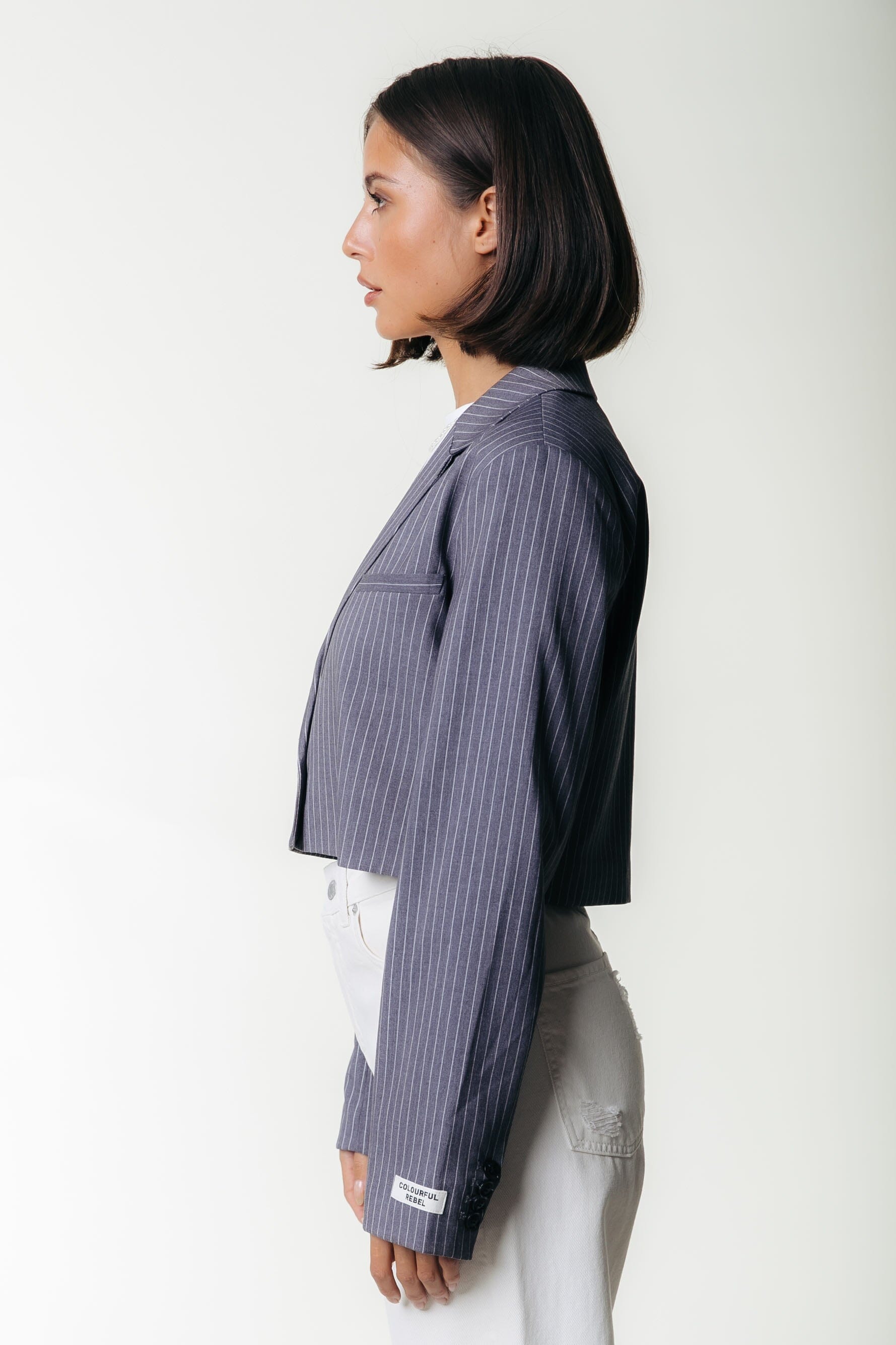 Colourful Rebel Winoah Stripe Cropped Blazer | Dark grey