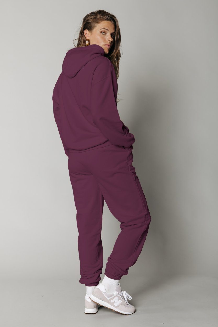 Colourful Rebel Uni Oversized Hoodie | Burgundy 8720603227469