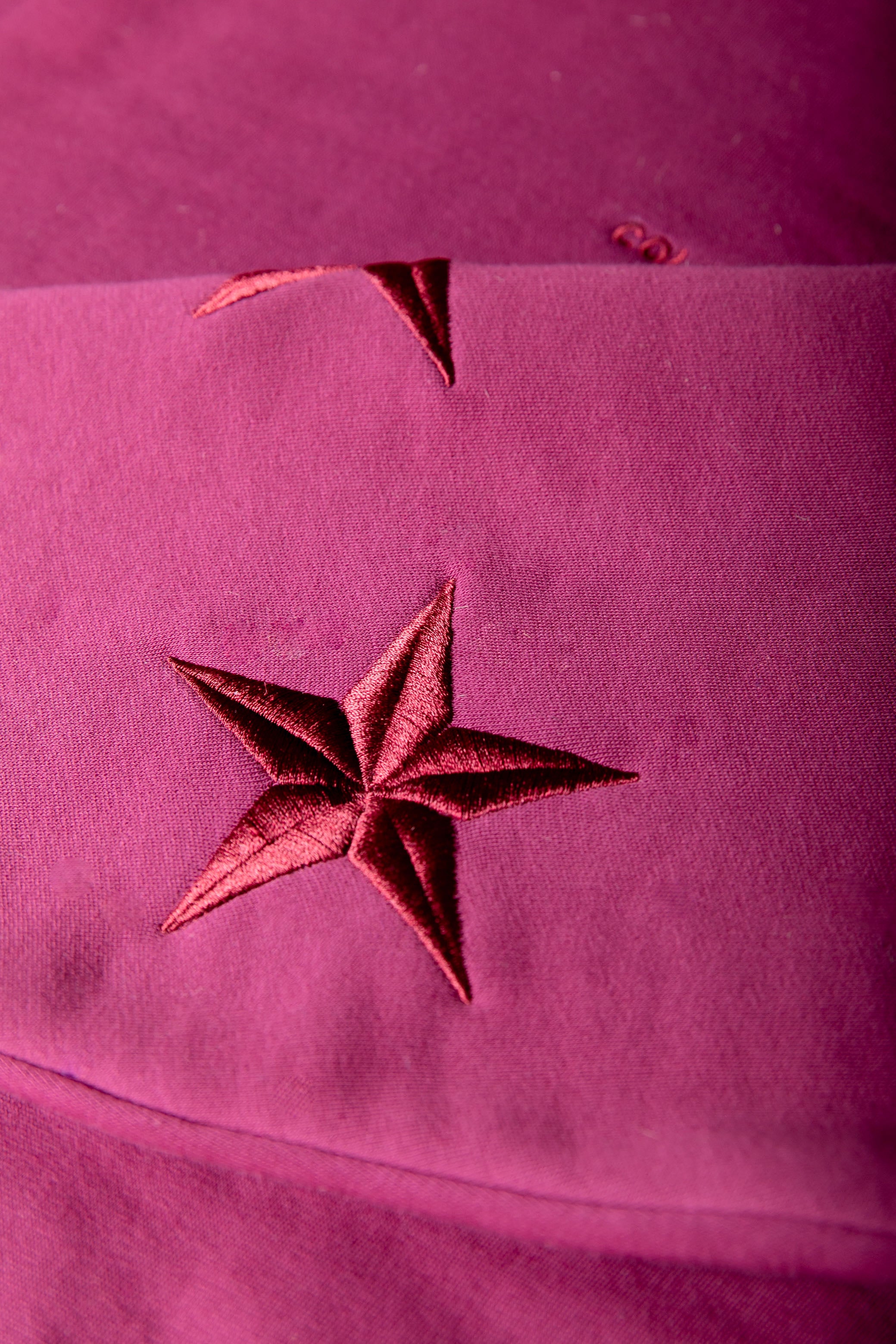 Stars Embro Hoodie | Bordeaux