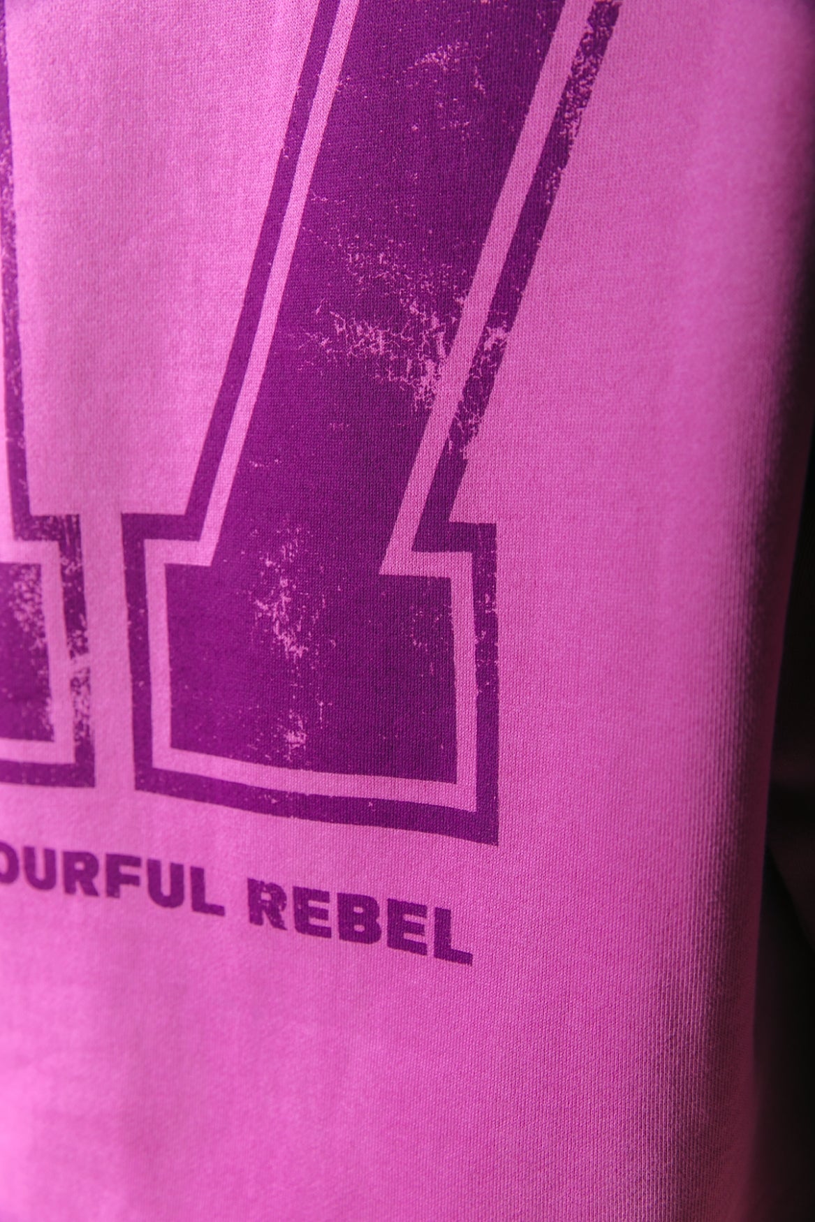 Colourful Rebel No17 Sweat | Candy Pink