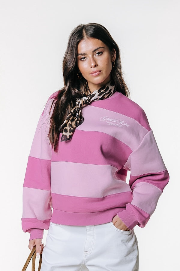 Cut & Sew Sweat | Pink