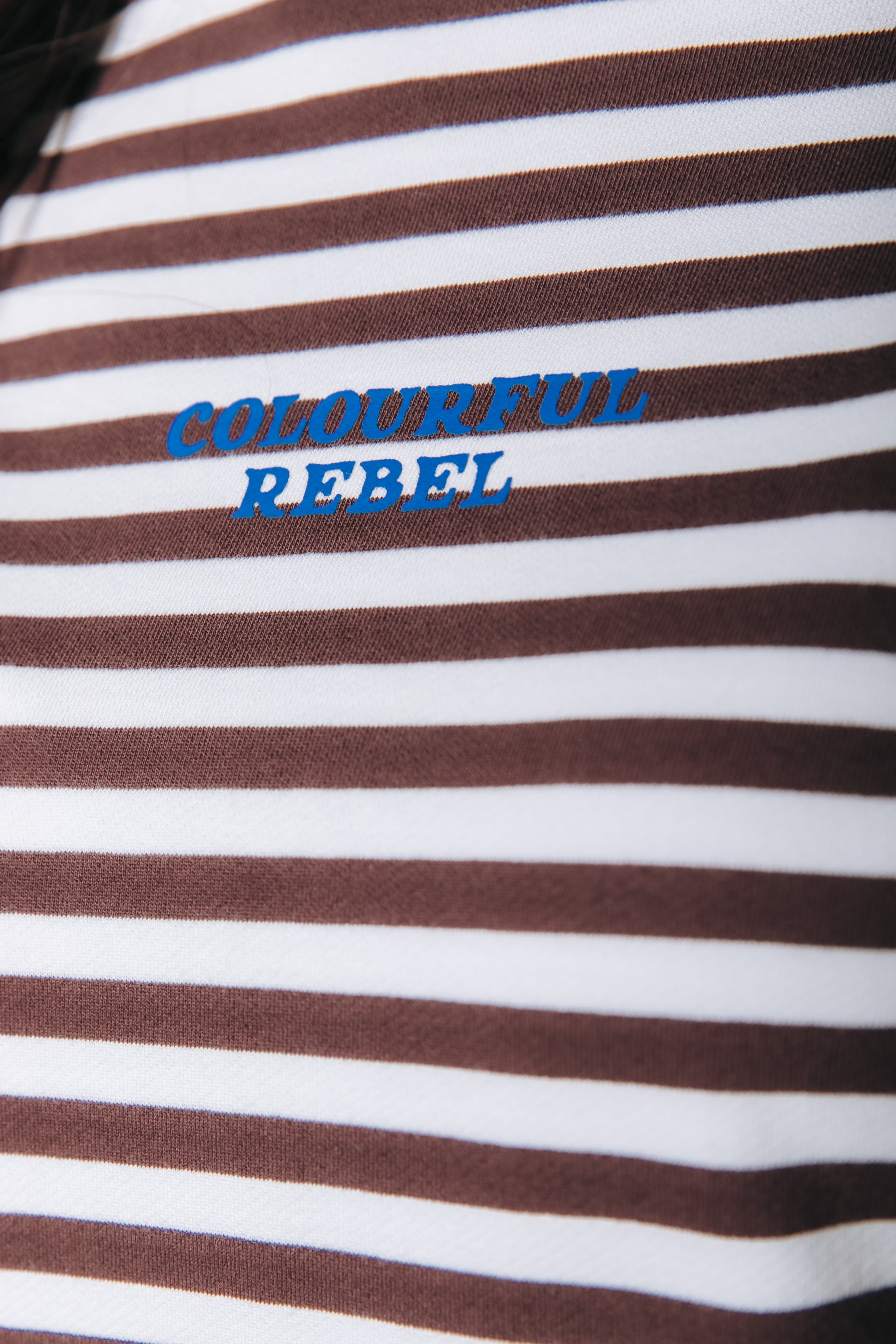 Logo Striped Sweat | Brown