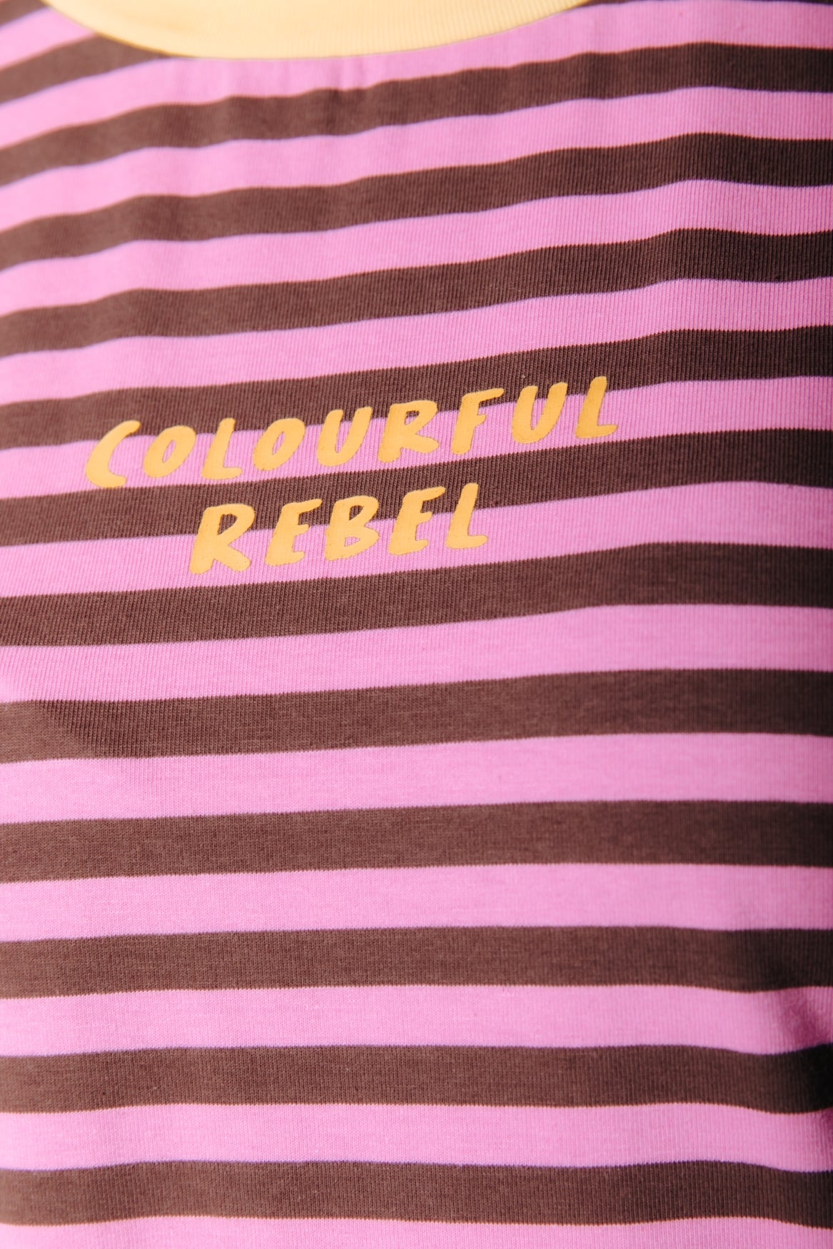 Striped Logo T-shirt | Brown/Pink