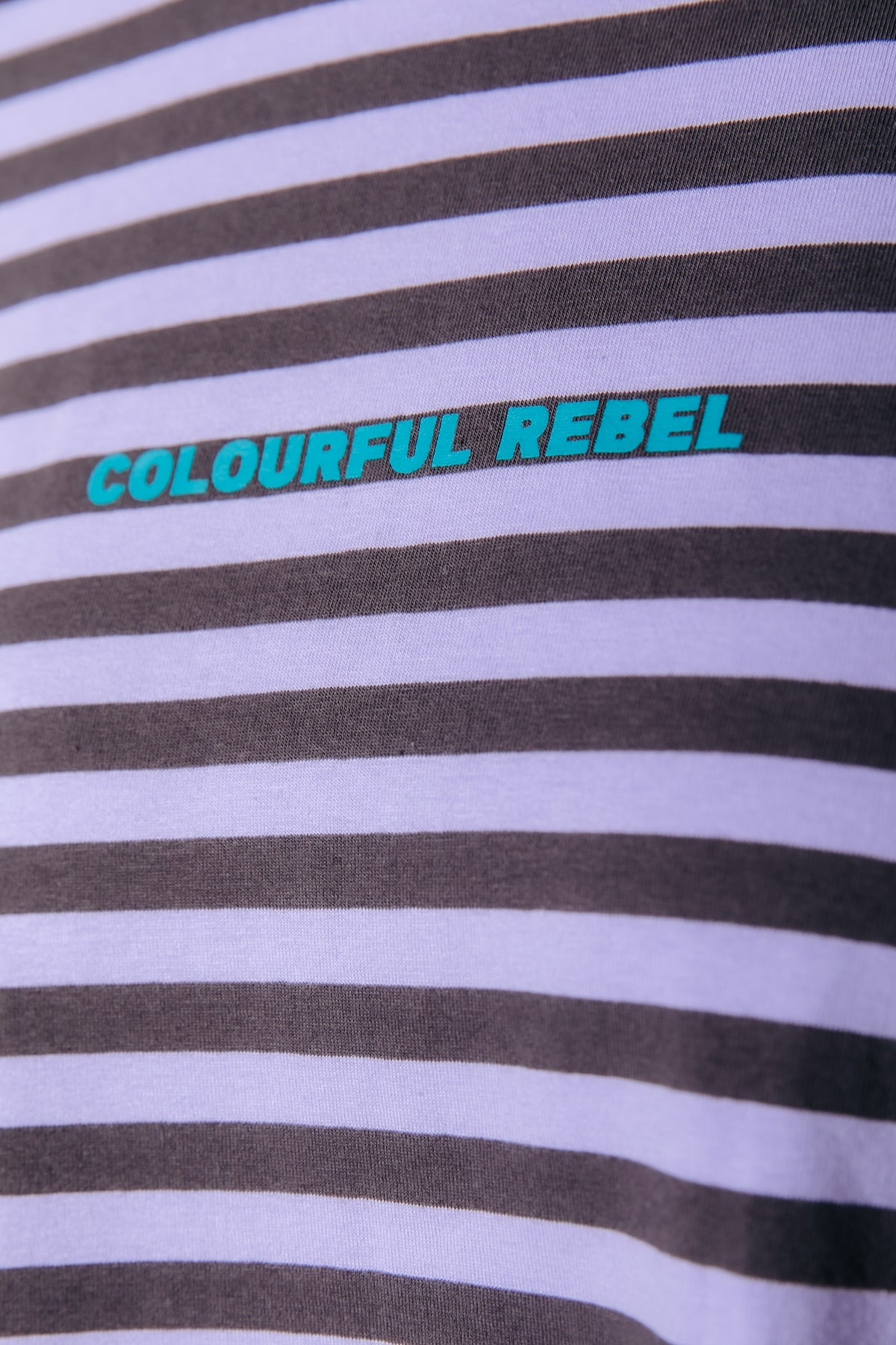 Two Colored Striped Longsleeve | Lilac / Grey