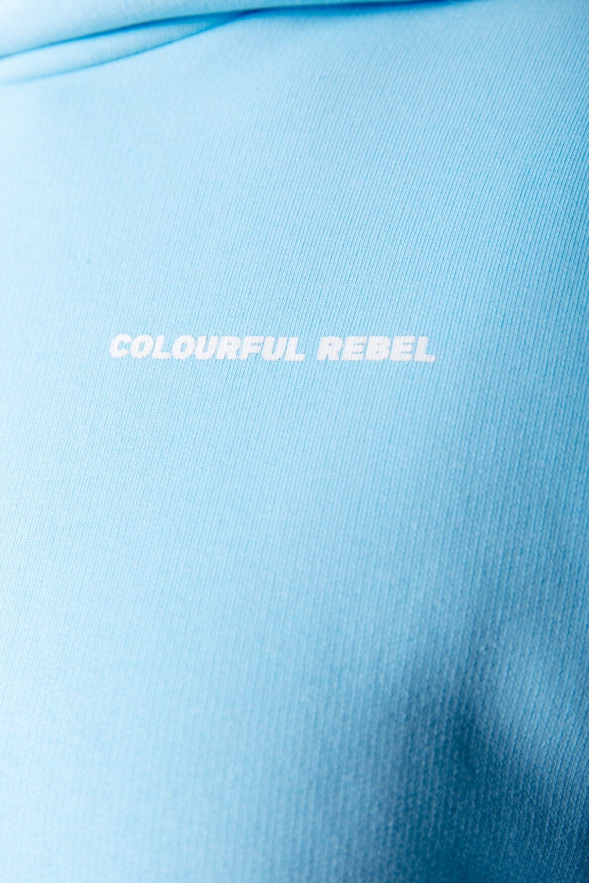 Colourful Rebel Big Flower Clean Hoodie | Light Blue 
