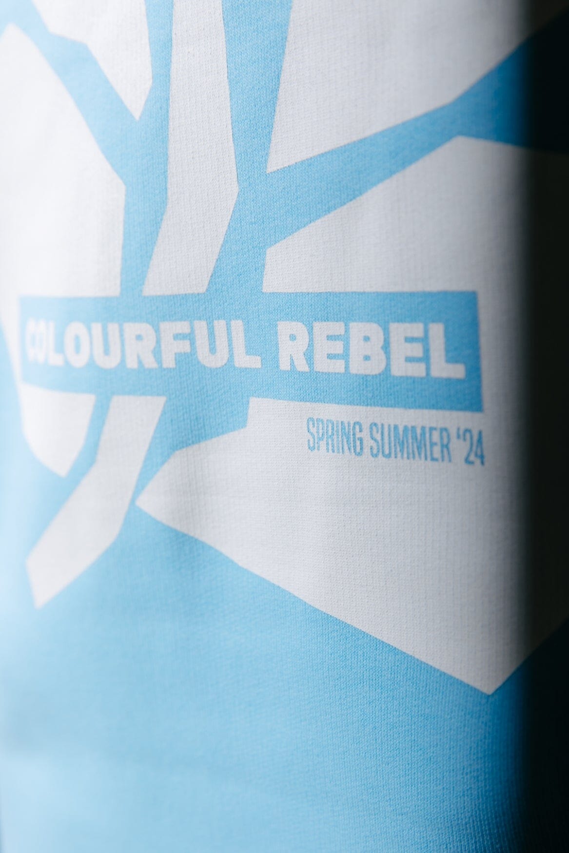 Colourful Rebel Big Flower Clean Hoodie | Light Blue 