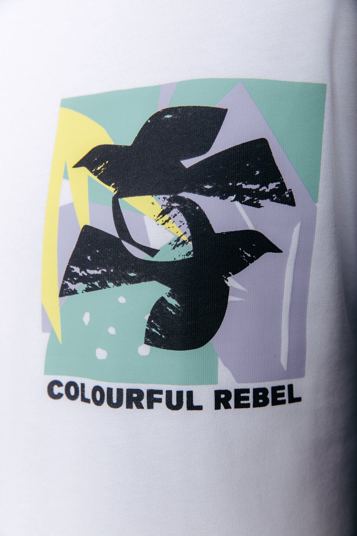 Colourful Rebel Birds Frame Basic Tee | White 