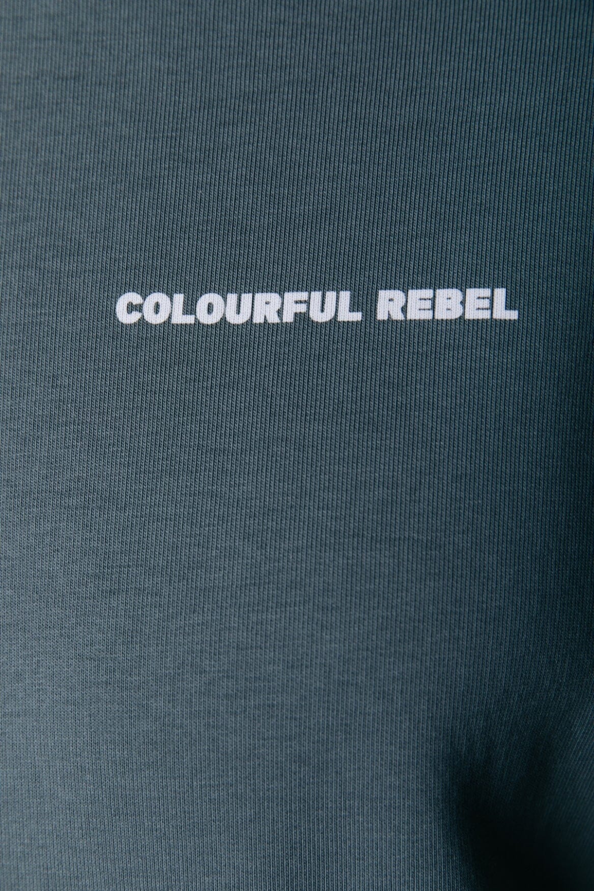 Colourful Rebel Box Logo Basic Sweat | Grey army 