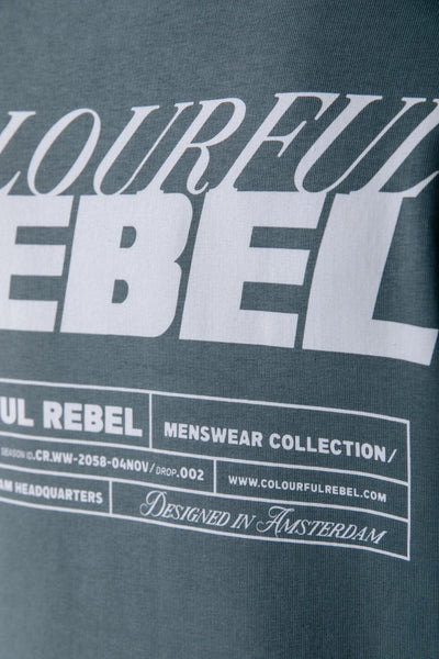Colourful Rebel Box Logo Basic Sweat | Grey army 