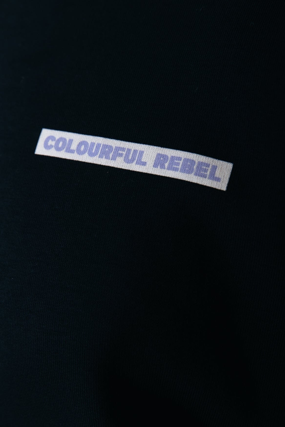 Colourful Rebel Box Logo Hoodie | Black 