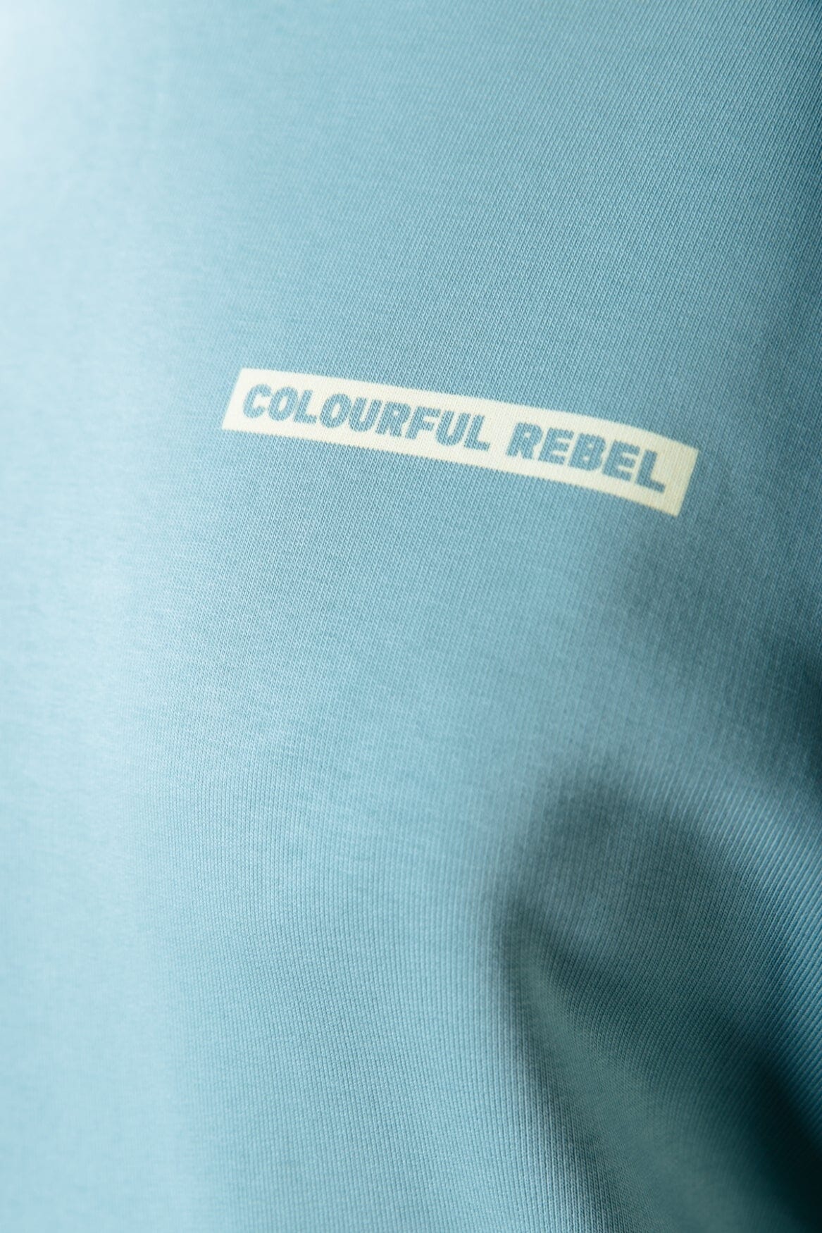 Colourful Rebel Box Logo Hoodie | Mineral blue 