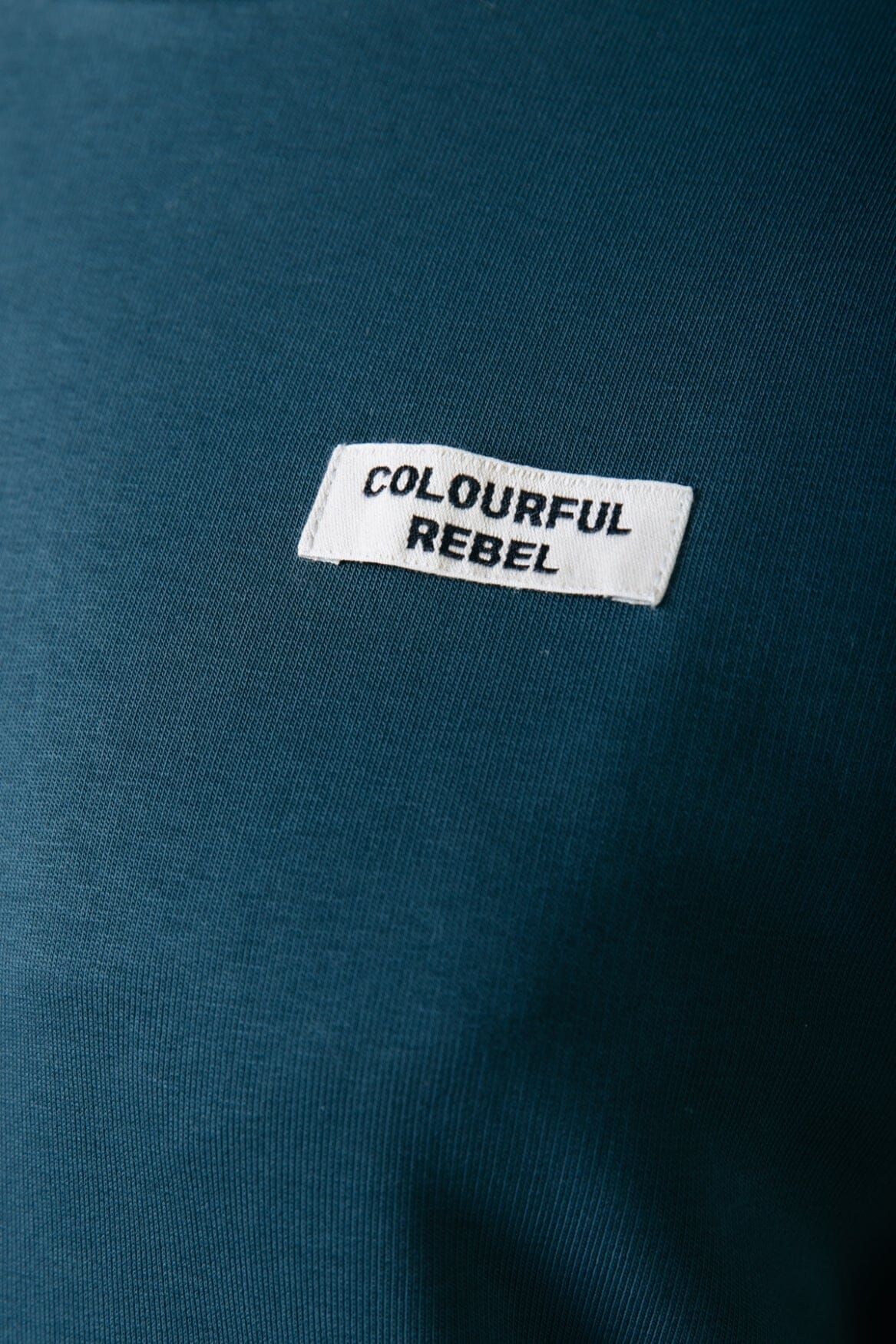 Colourful Rebel Colourful Rebel Label Sweat | Atlantic green 