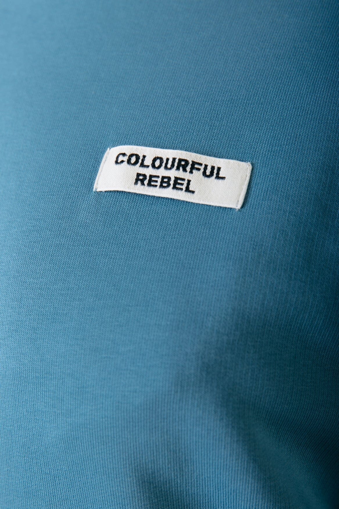 Colourful Rebel Colourful Rebel Label Sweat | Soft petrol 