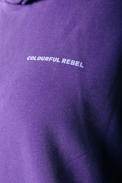 Colourful Rebel Concert Acid Wash Clean Hoodie | Liberty Purple 