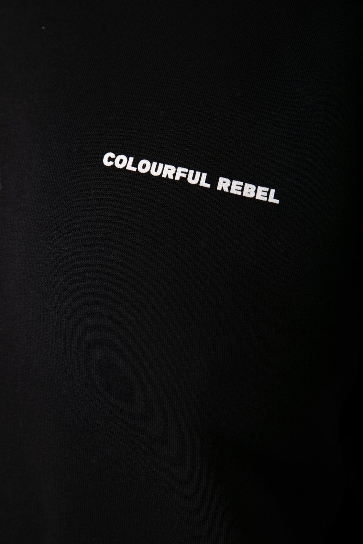 Colourful Rebel CR Back Logo Hoodie | Off black / Washed black 
