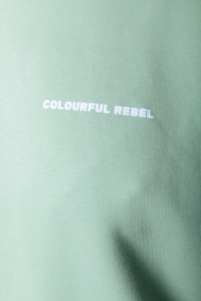 Colourful Rebel CR Back Logo Hoodie | Soft Green 
