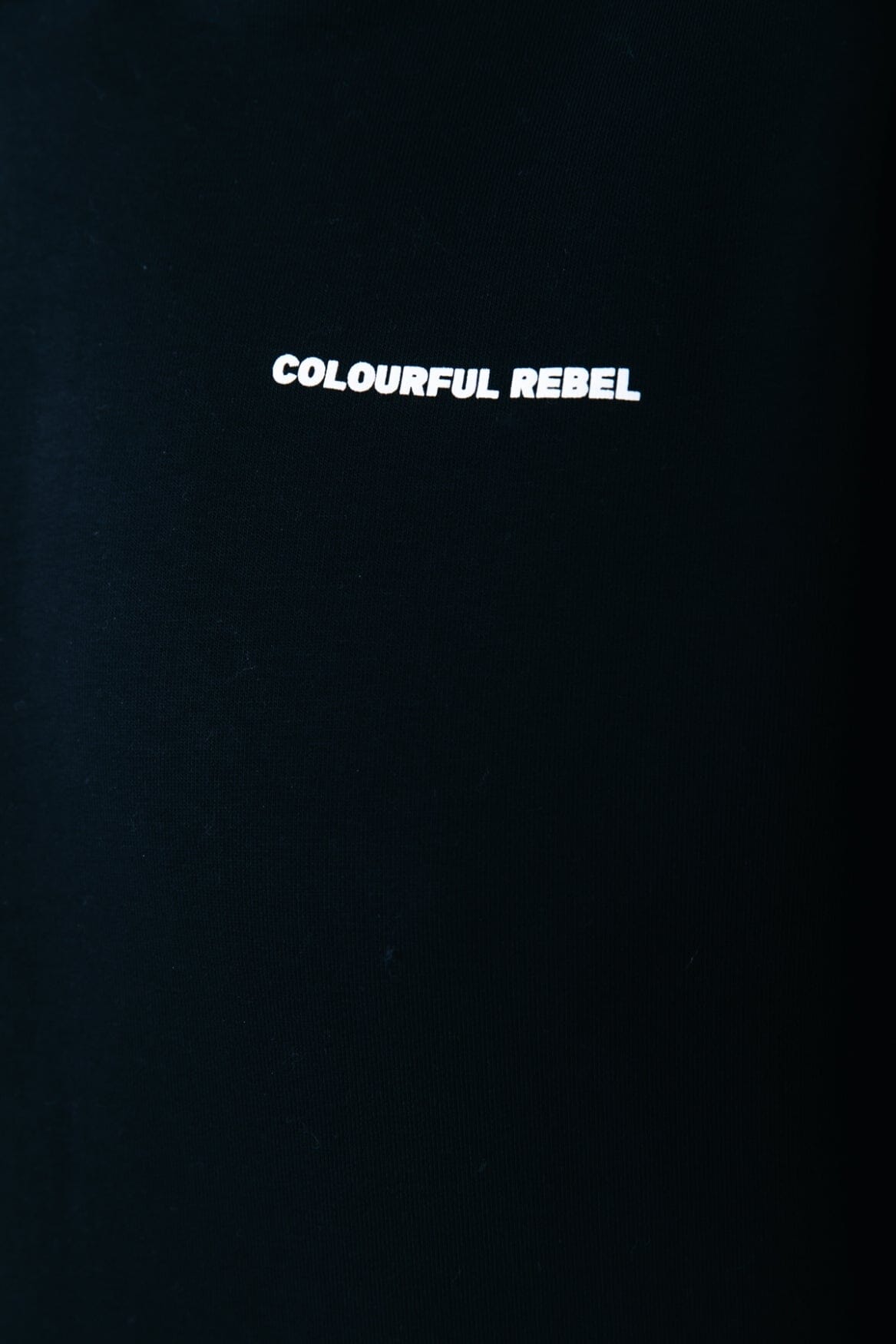 Colourful Rebel CR Bold Logo Hoodie | Black 