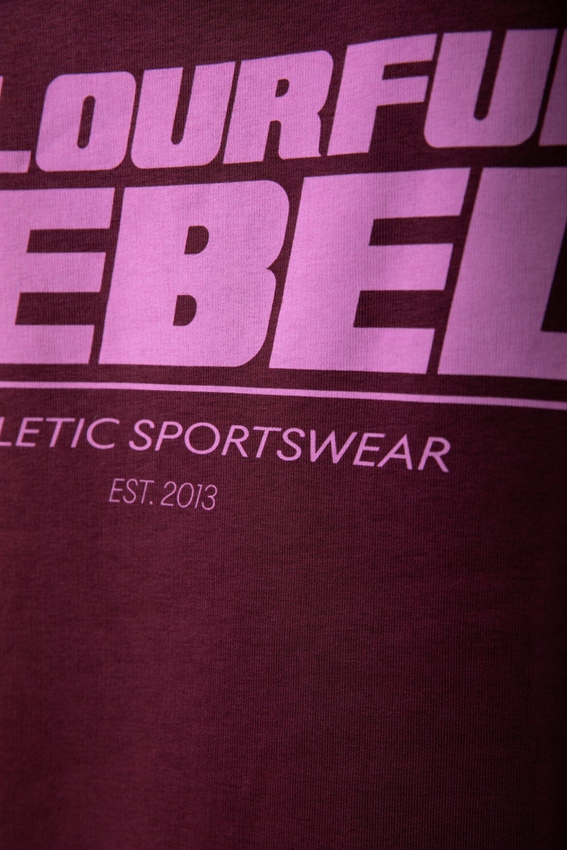 Colourful Rebel CR Bold Logo Sweat | Warm Bordeaux 