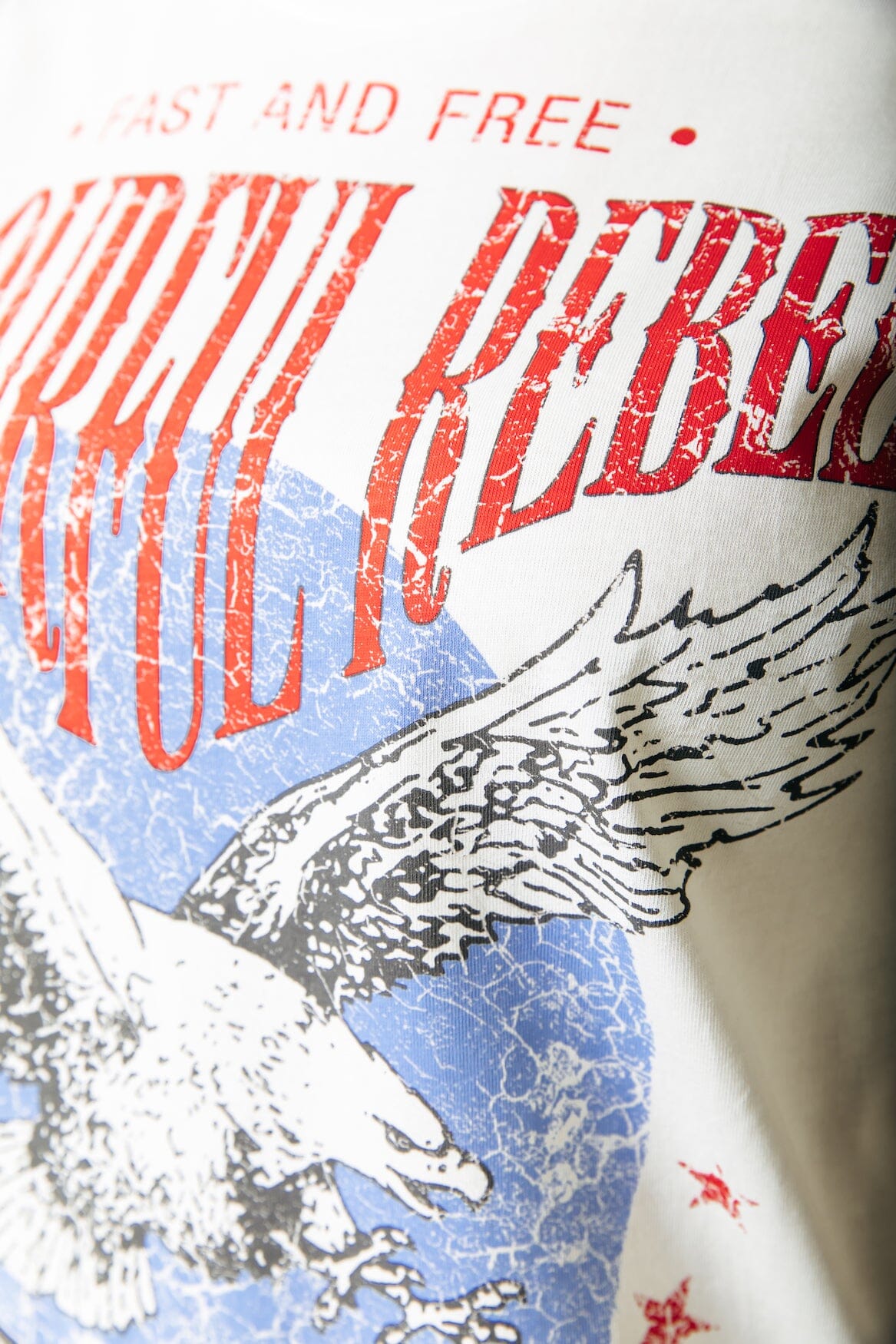 Colourful Rebel Eagle Boxy Tee | Standard white 