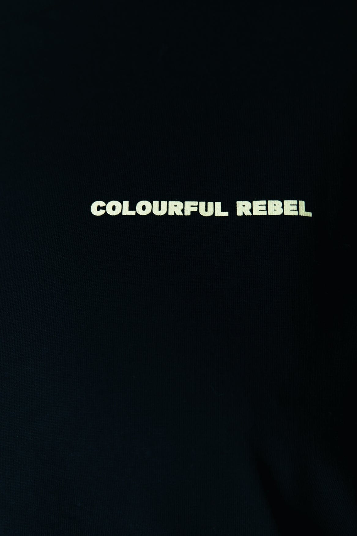 Colourful Rebel Flower Shapes Loosefit Tee | Black 