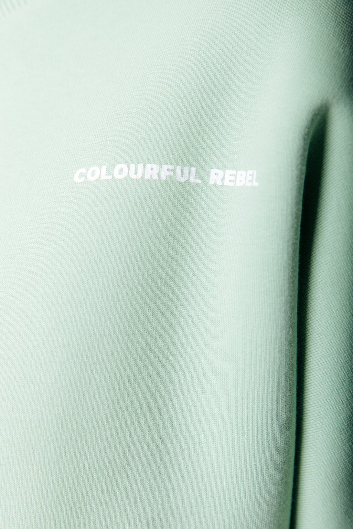 Colourful Rebel Flower Sweat | Soft Green 