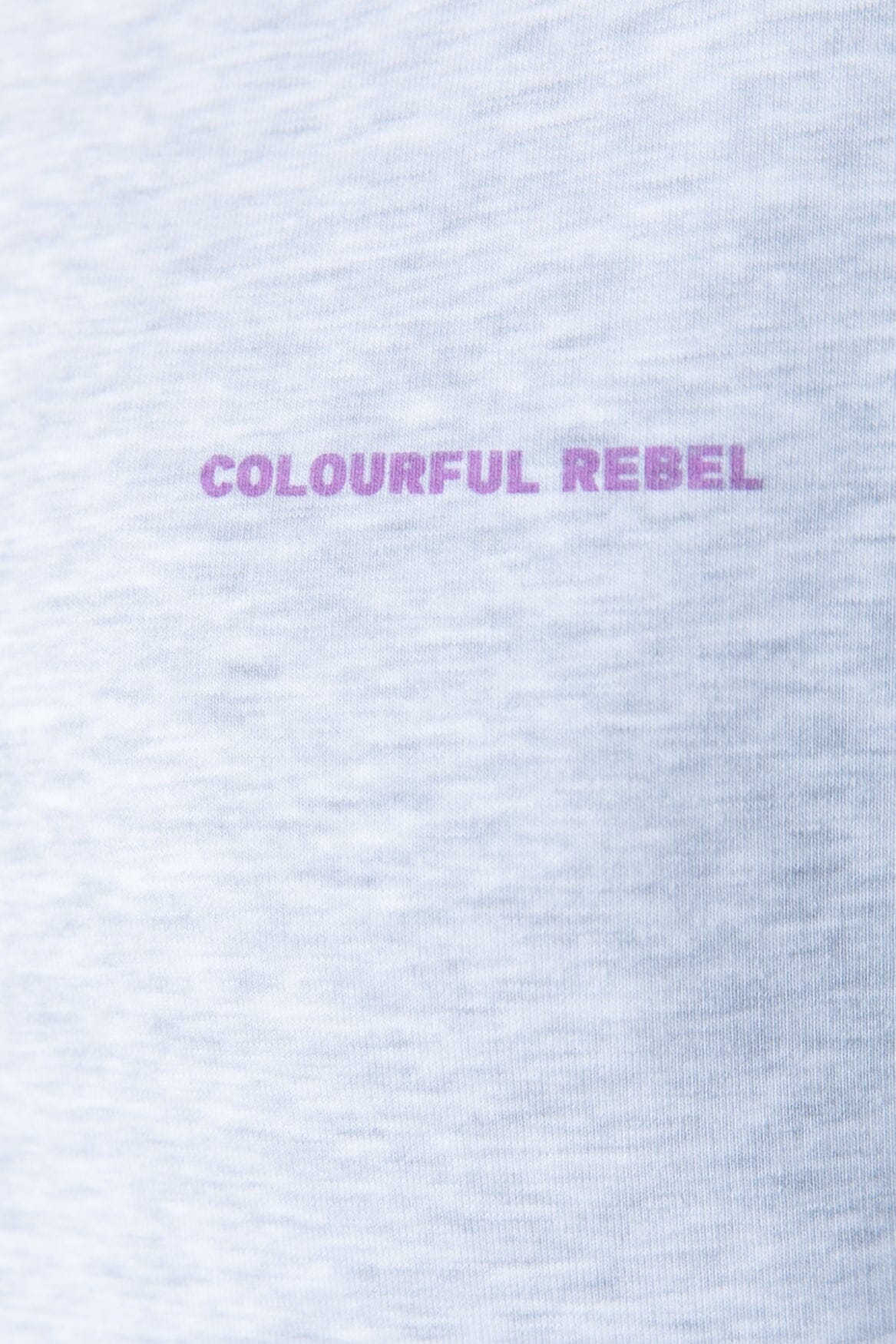 Colourful Rebel Flower World Tour Dropped Shoulder Sweat | Light grey melange 