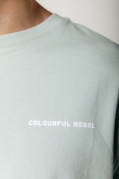 Colourful Rebel Logo Basic Tee | Light mint 