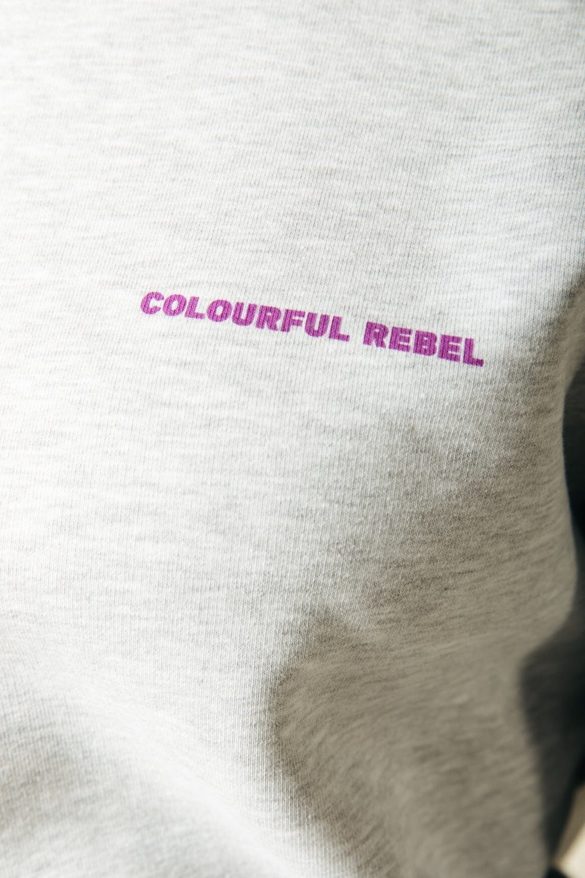 Colourful Rebel Logo Circle Relaxed Sweat | Light grey melange 