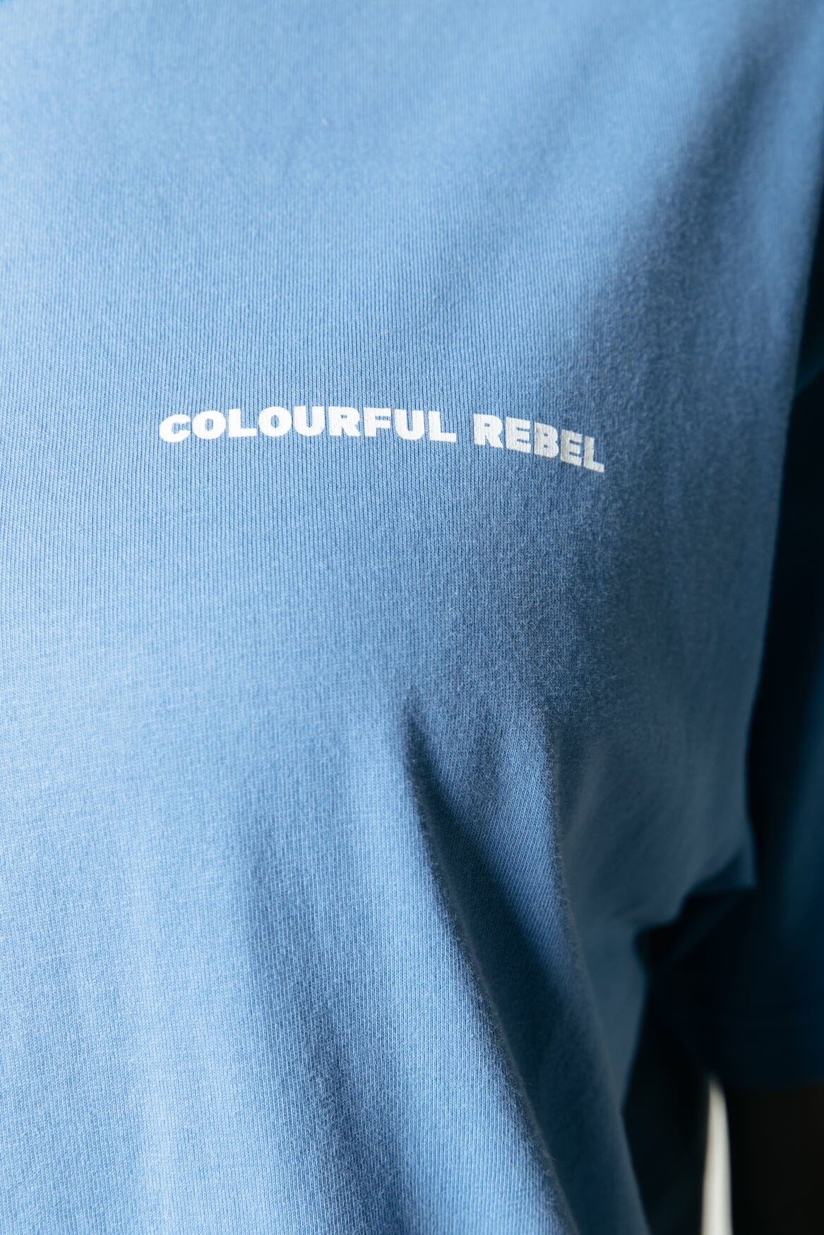 Colourful Rebel Logo Globe Loosefit Tee | Light Grey Blue 