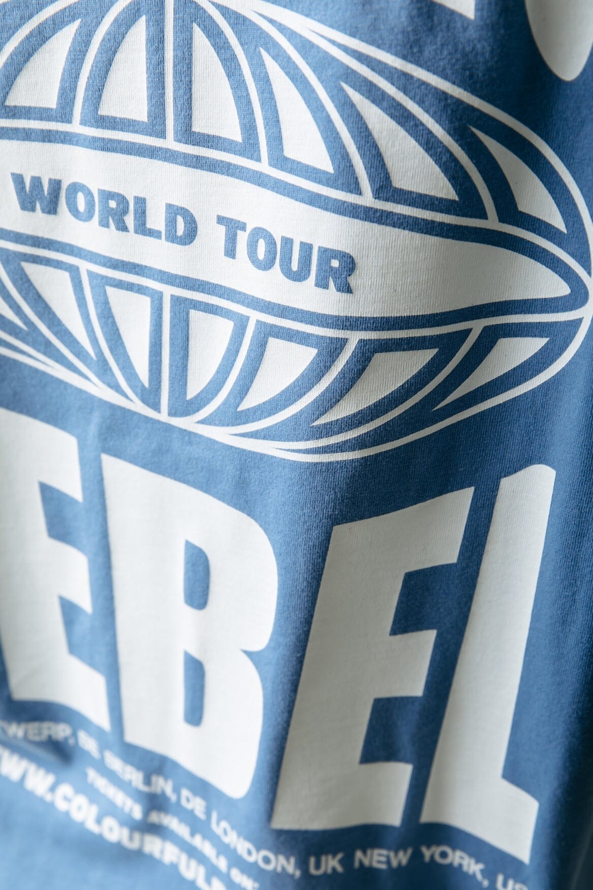 Colourful Rebel Logo Globe Loosefit Tee | Light Grey Blue 